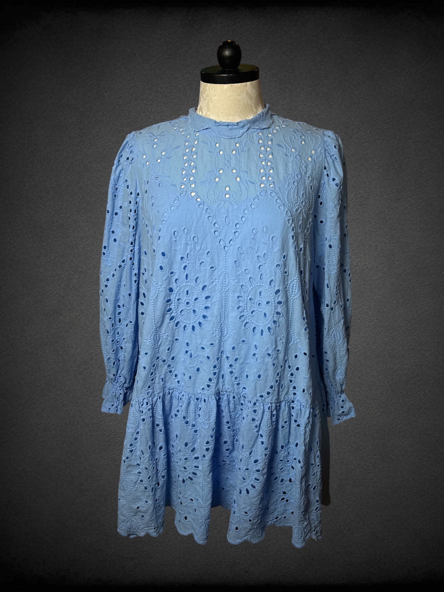 2X YMI Collections O2X ELOQUII light blue dress with floral embroidery, cutouts, puff sleeves with elastic wrists, matching slip, and scalloped collar
