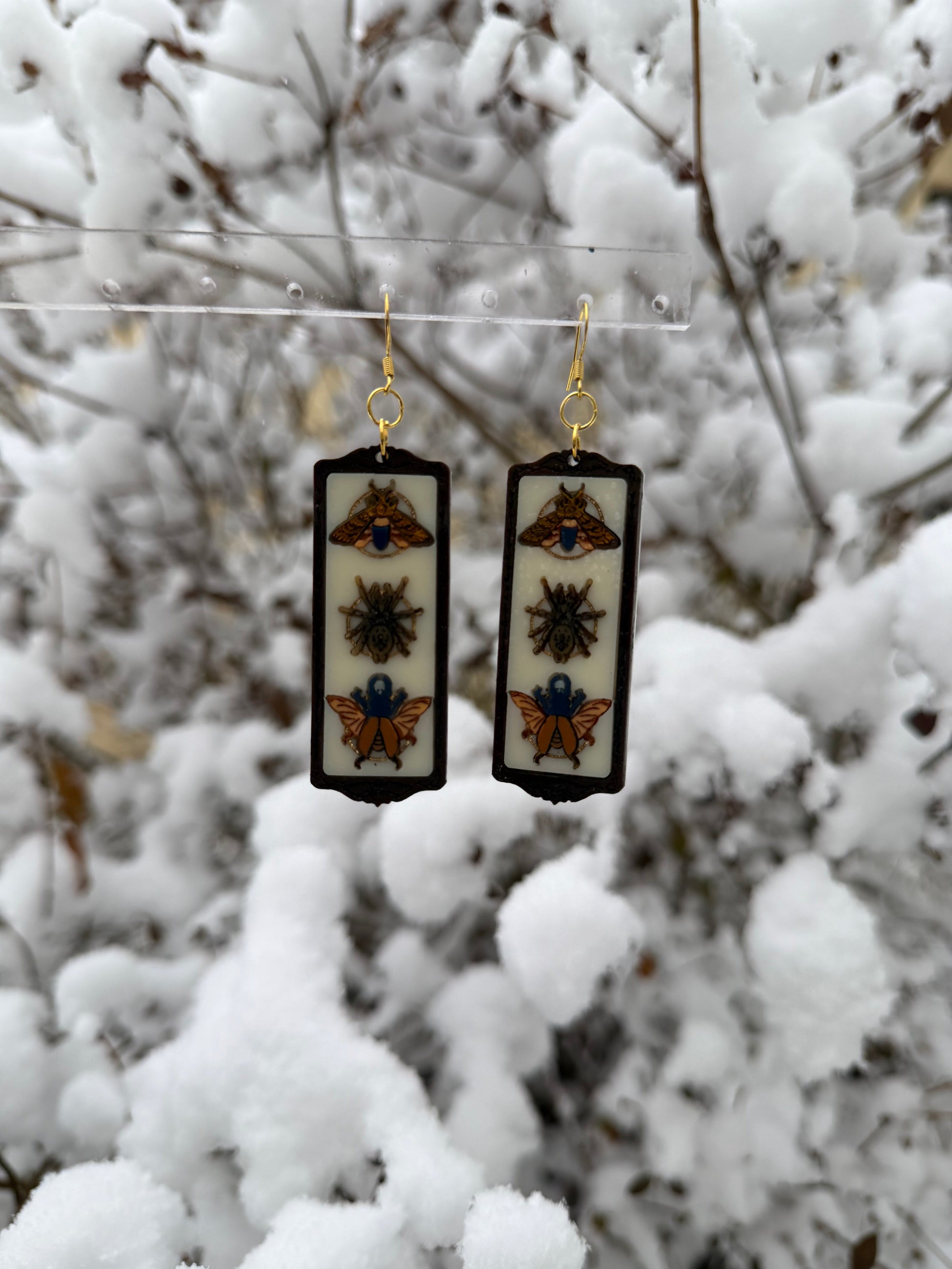 🕷️🦋🪲THE ENTOMOLOGIST🪲🦋🕷️