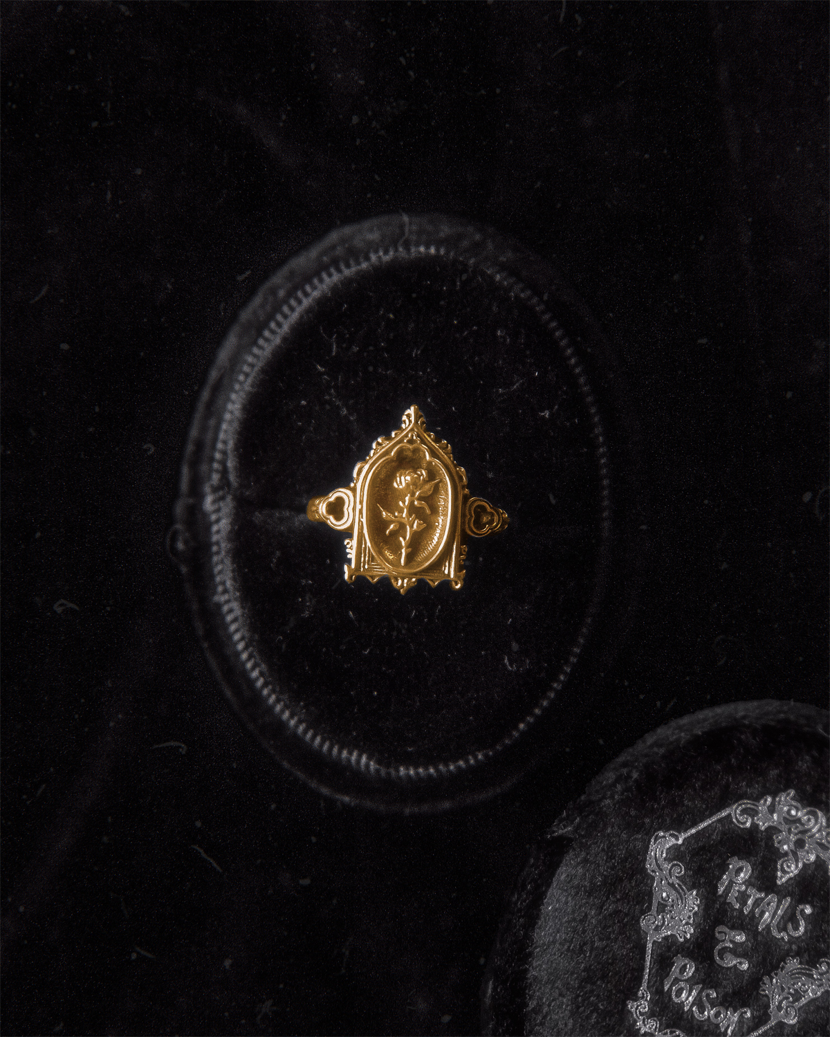 The GOLD "Lenore's Tomb” Curio Ring
