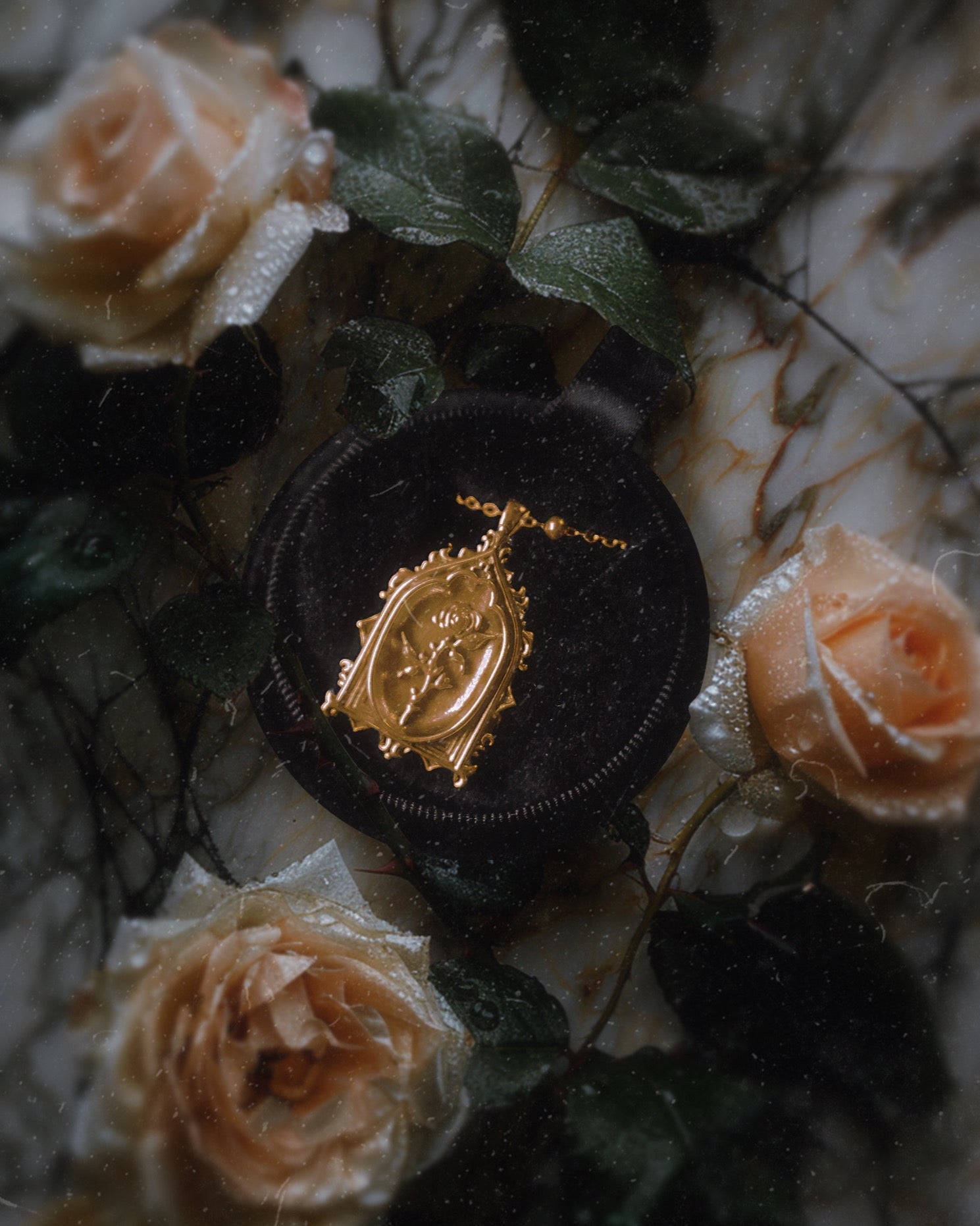 The GOLD "Lenore's Tomb” Curio Necklace