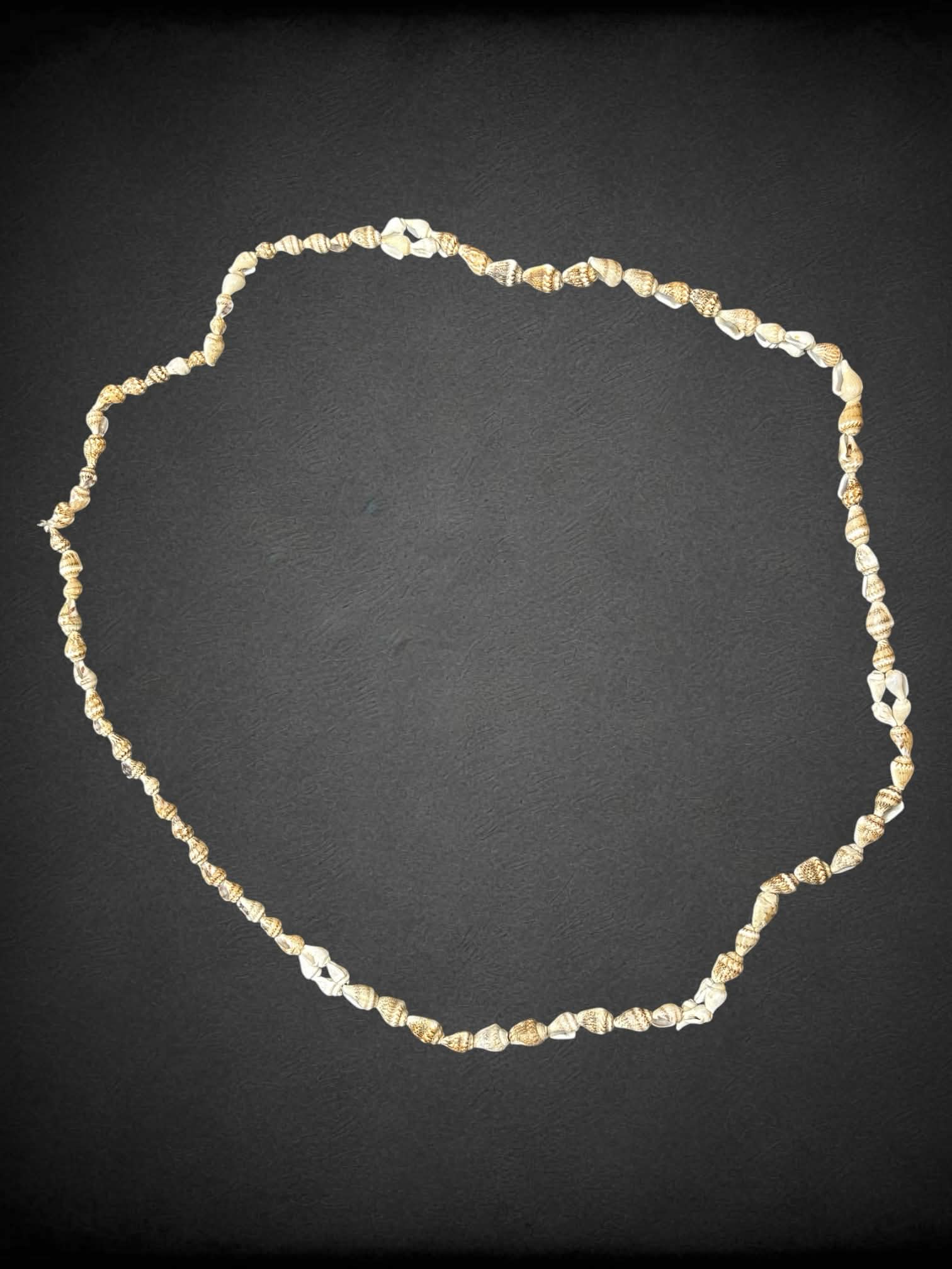 Seashell necklace