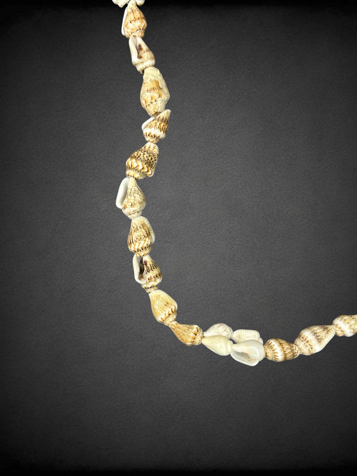 Seashell necklace
