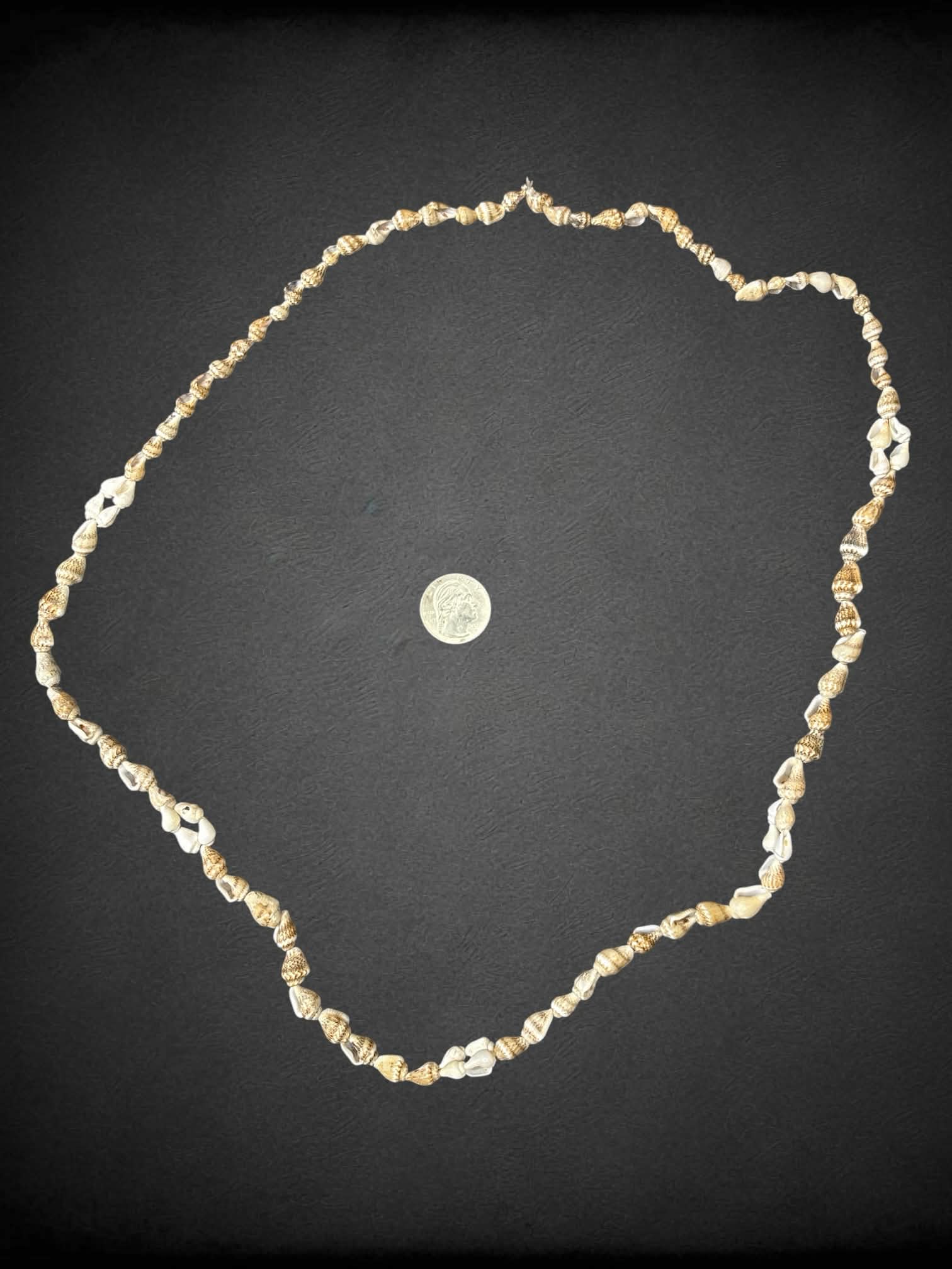 Seashell necklace