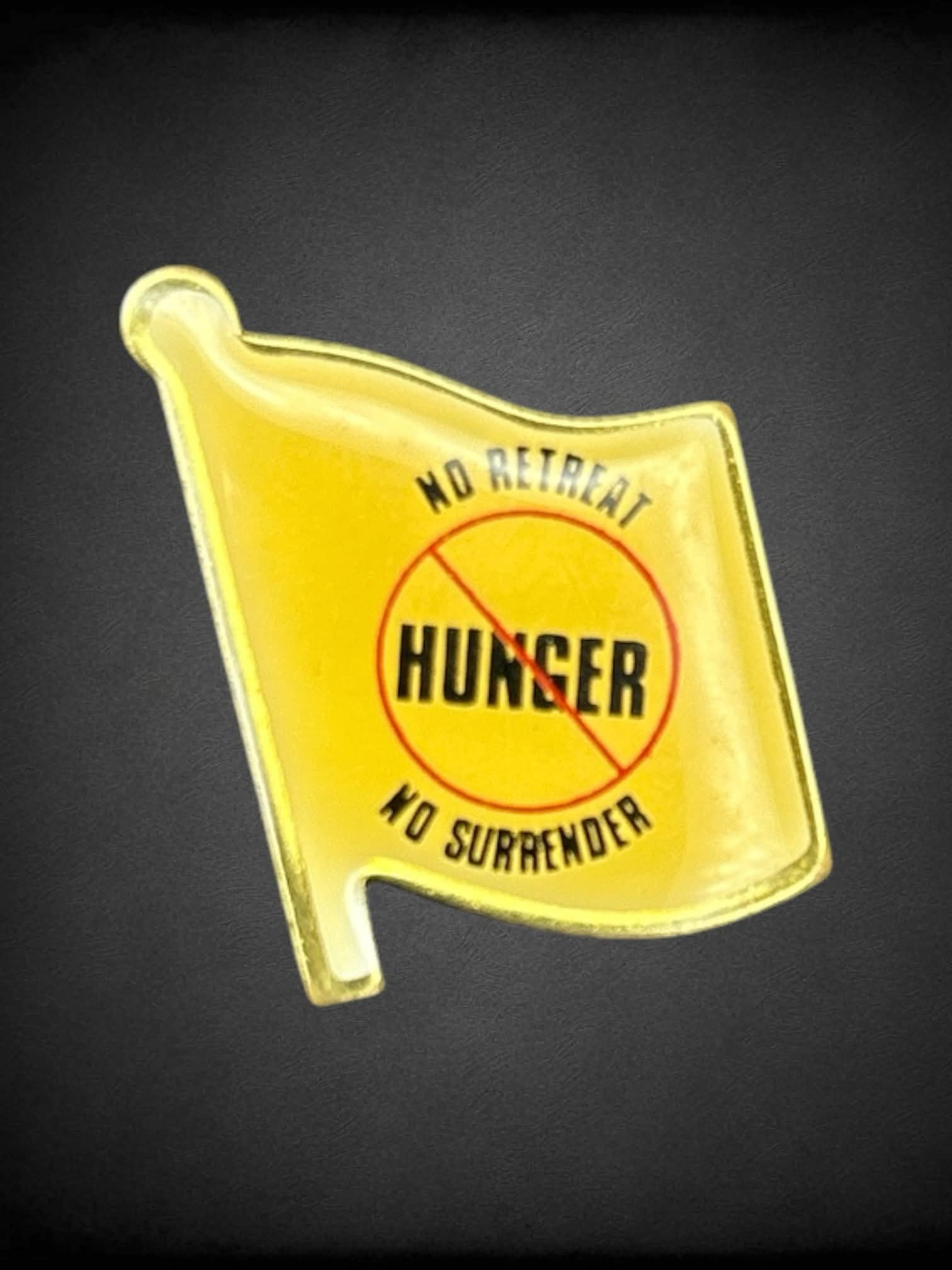 “No Retreat No Surrender” flag pin
