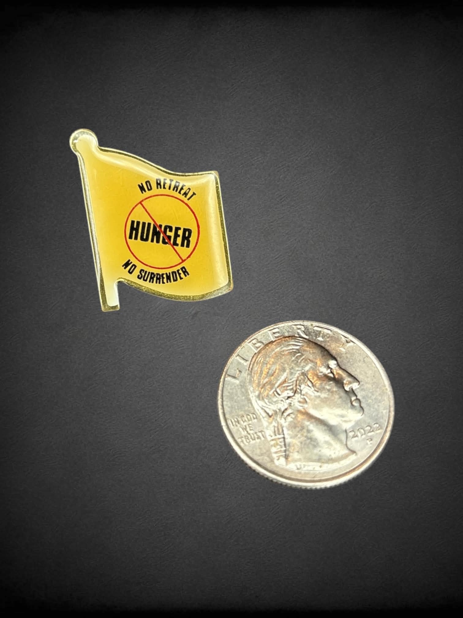“No Retreat No Surrender” flag pin
