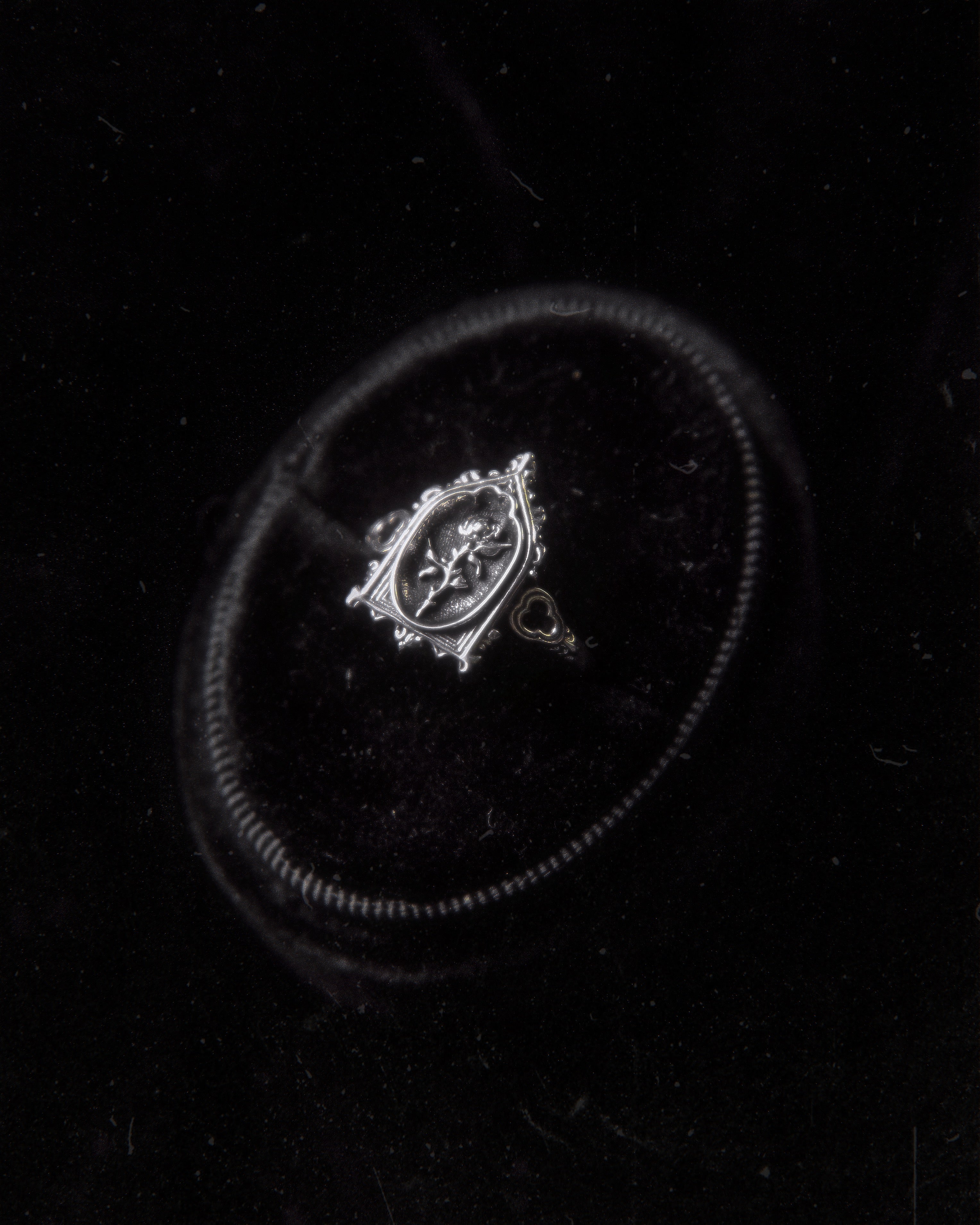 The "Lenore's Tomb” Curio Ring