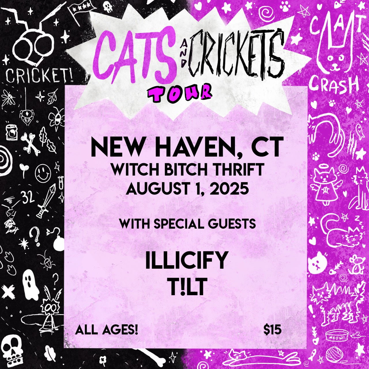 08/01 Cat Crash with special guests Illicify, Cricket!, T!LT
