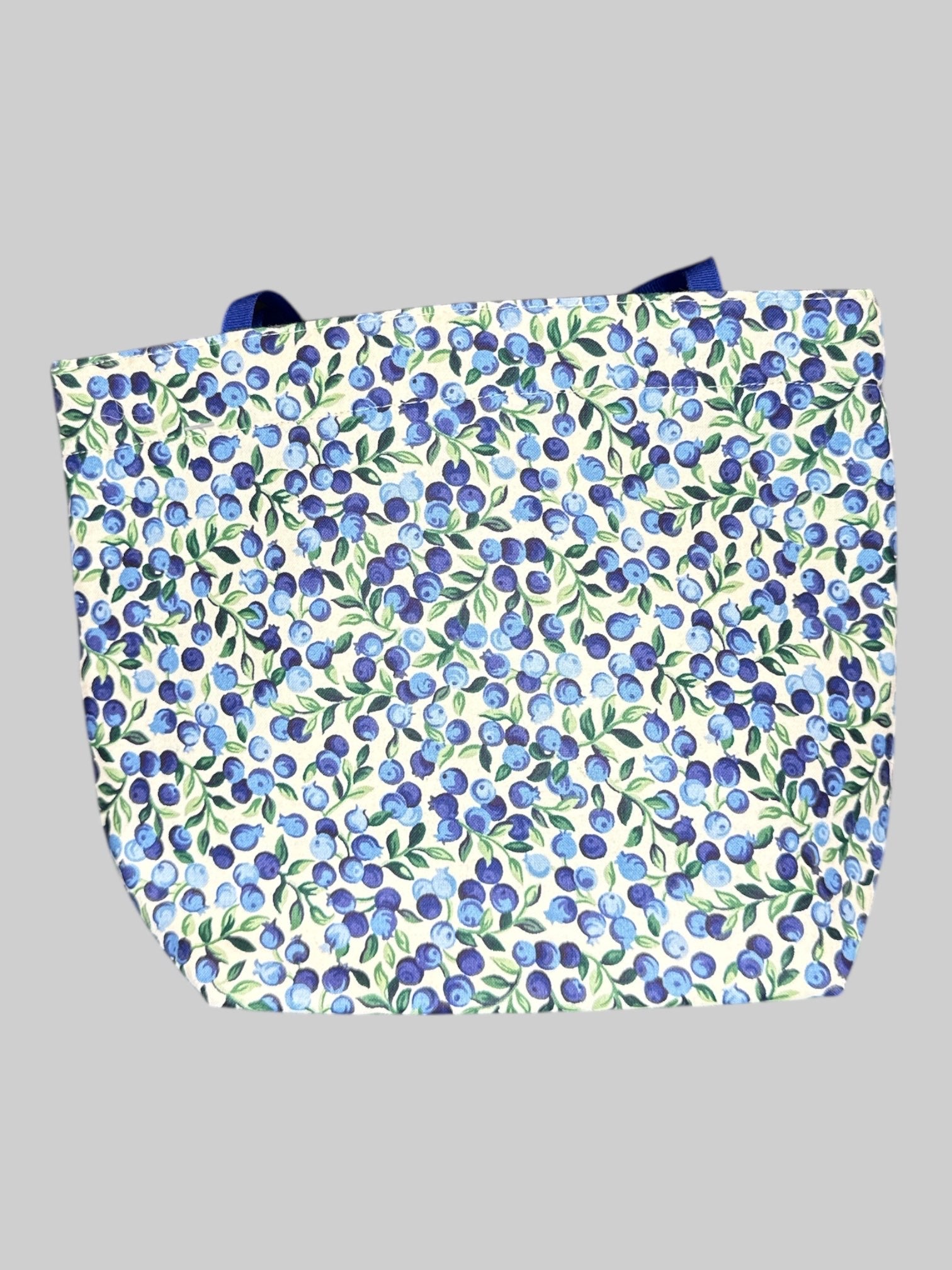 Small vintage blueberry bag
