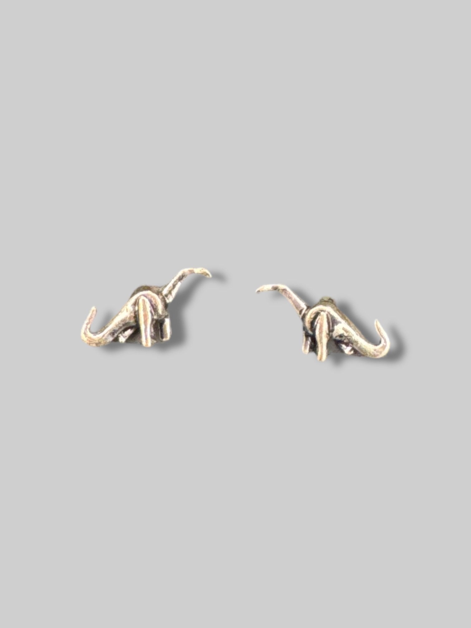 Silvertone dinosaur study earrings