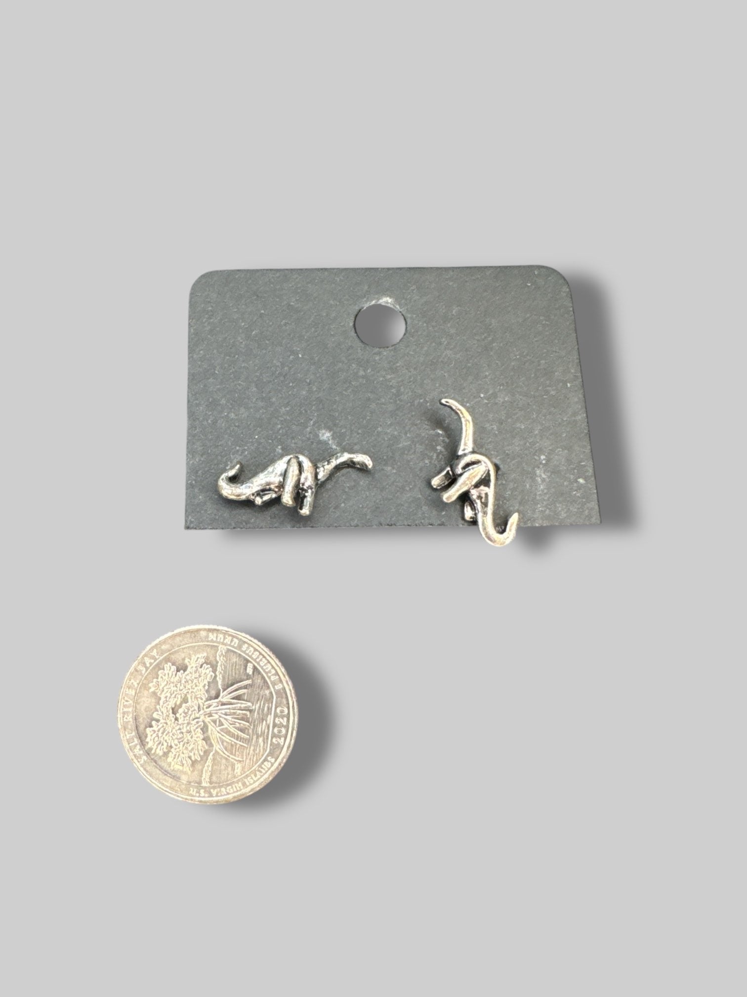 Silvertone dinosaur study earrings
