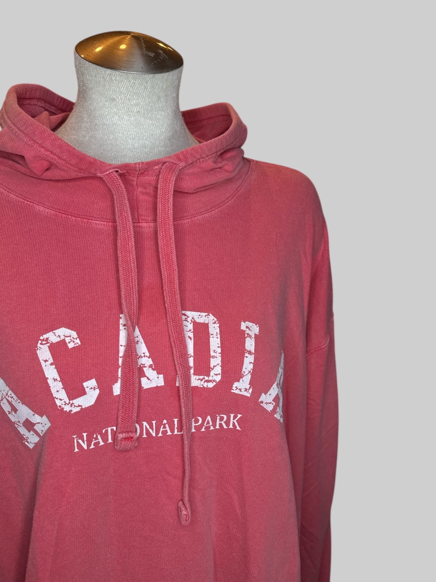1X Salmon Acadia national Park hoodie