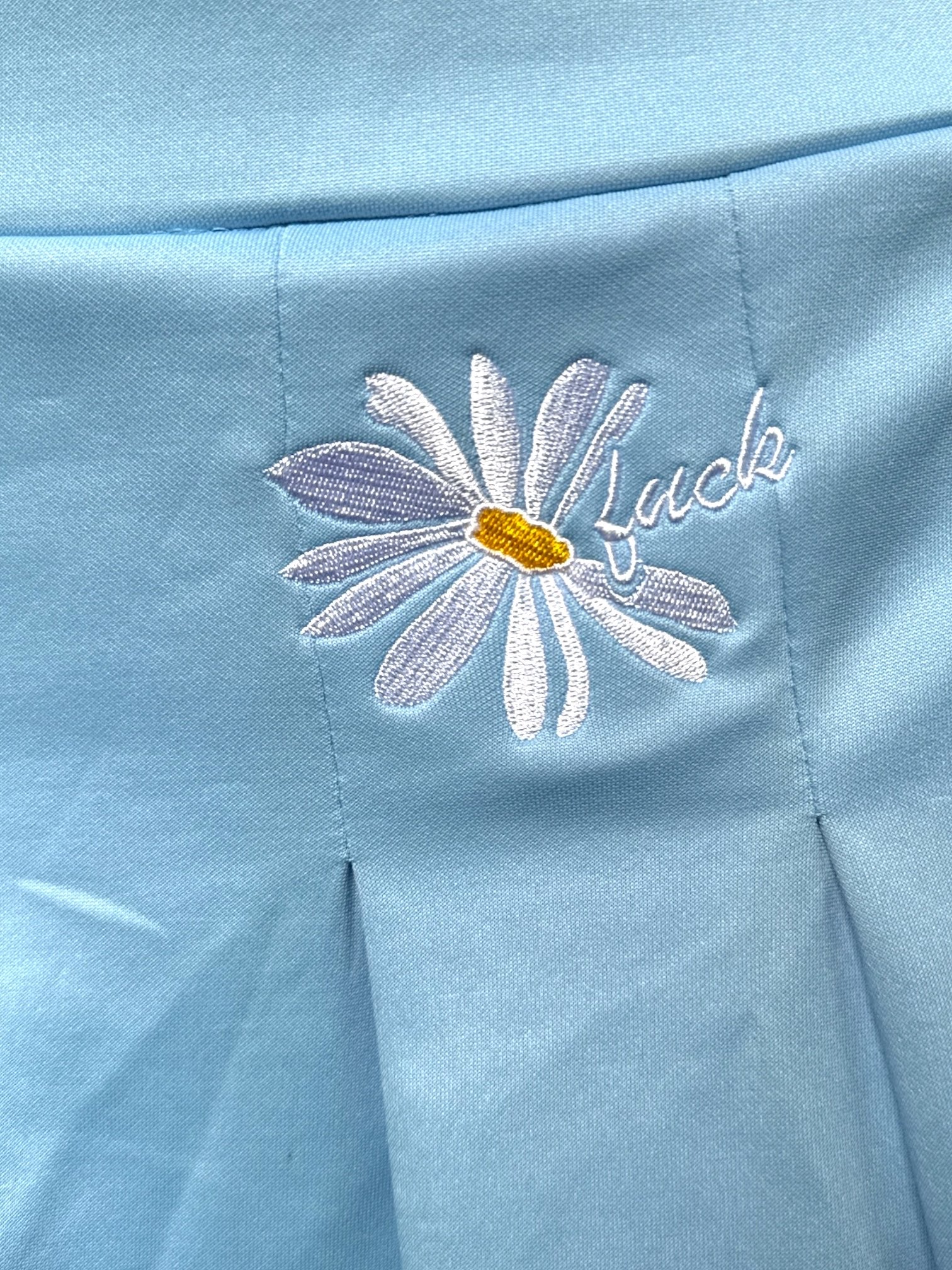 L Light blue pleated skirt with stripes and daisy embroidery with the word luck or fuck, you decide