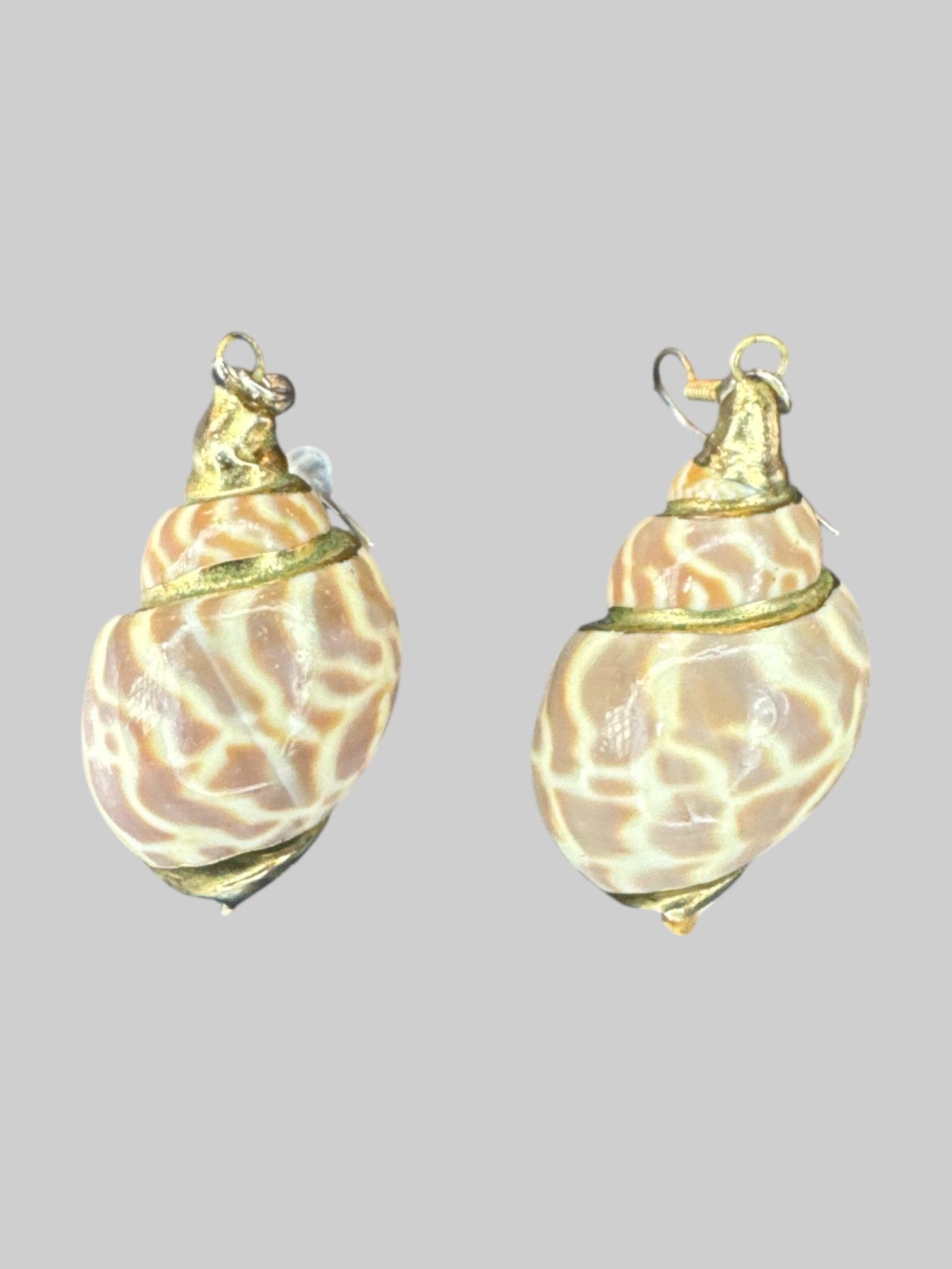 Conch shell earrings with gold tone details
