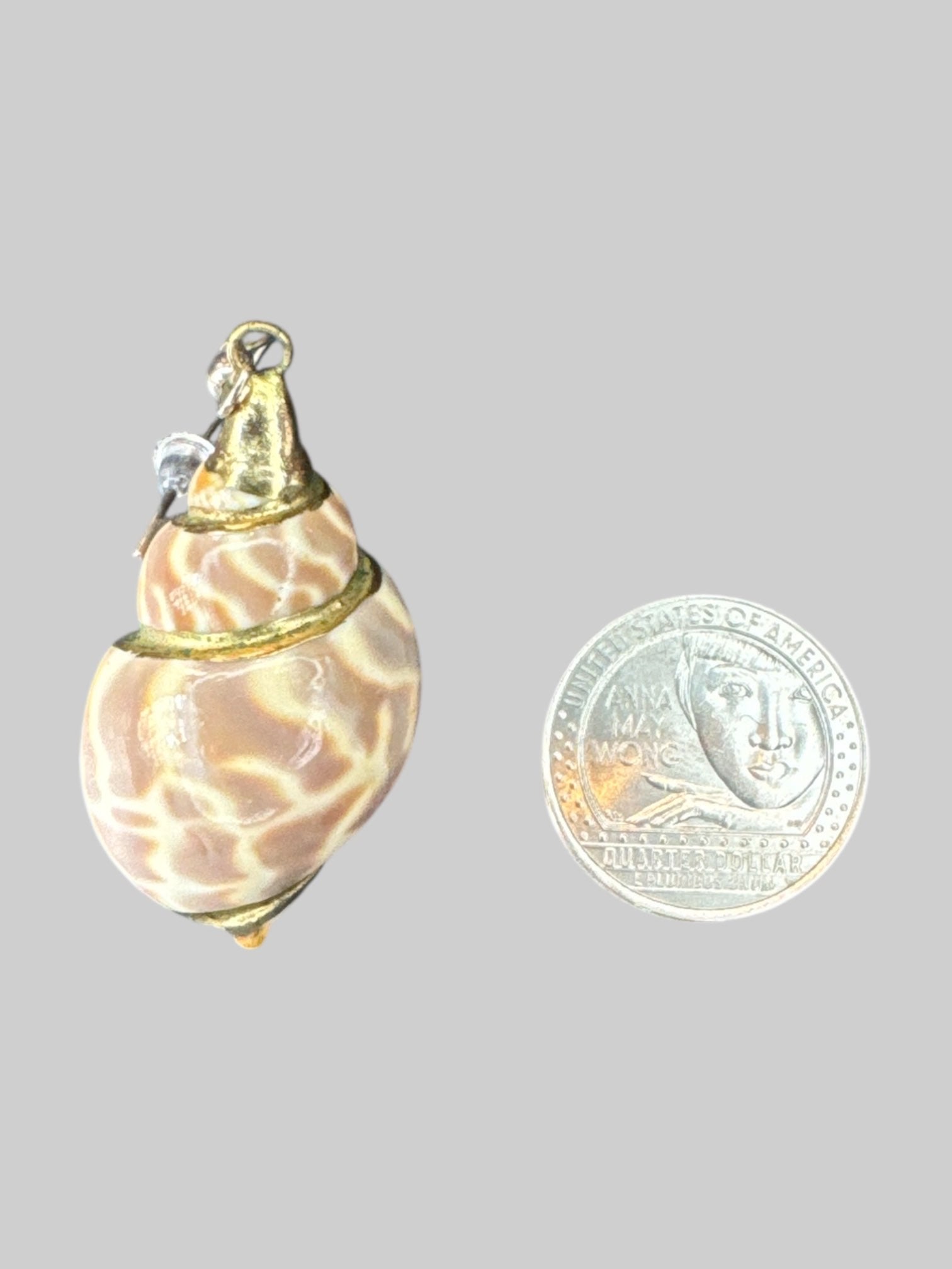 Conch shell earrings with gold tone details