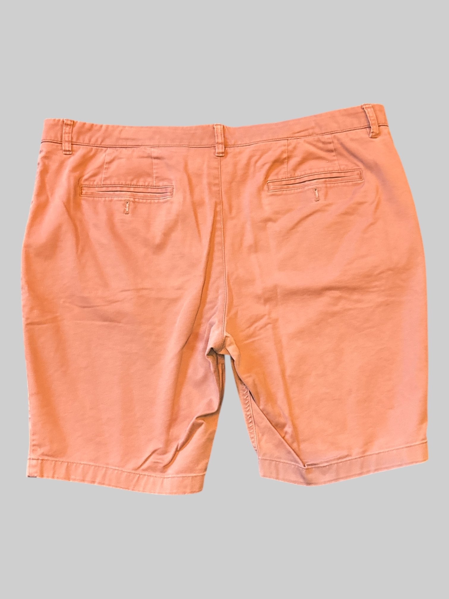 1X Terracotta shorts