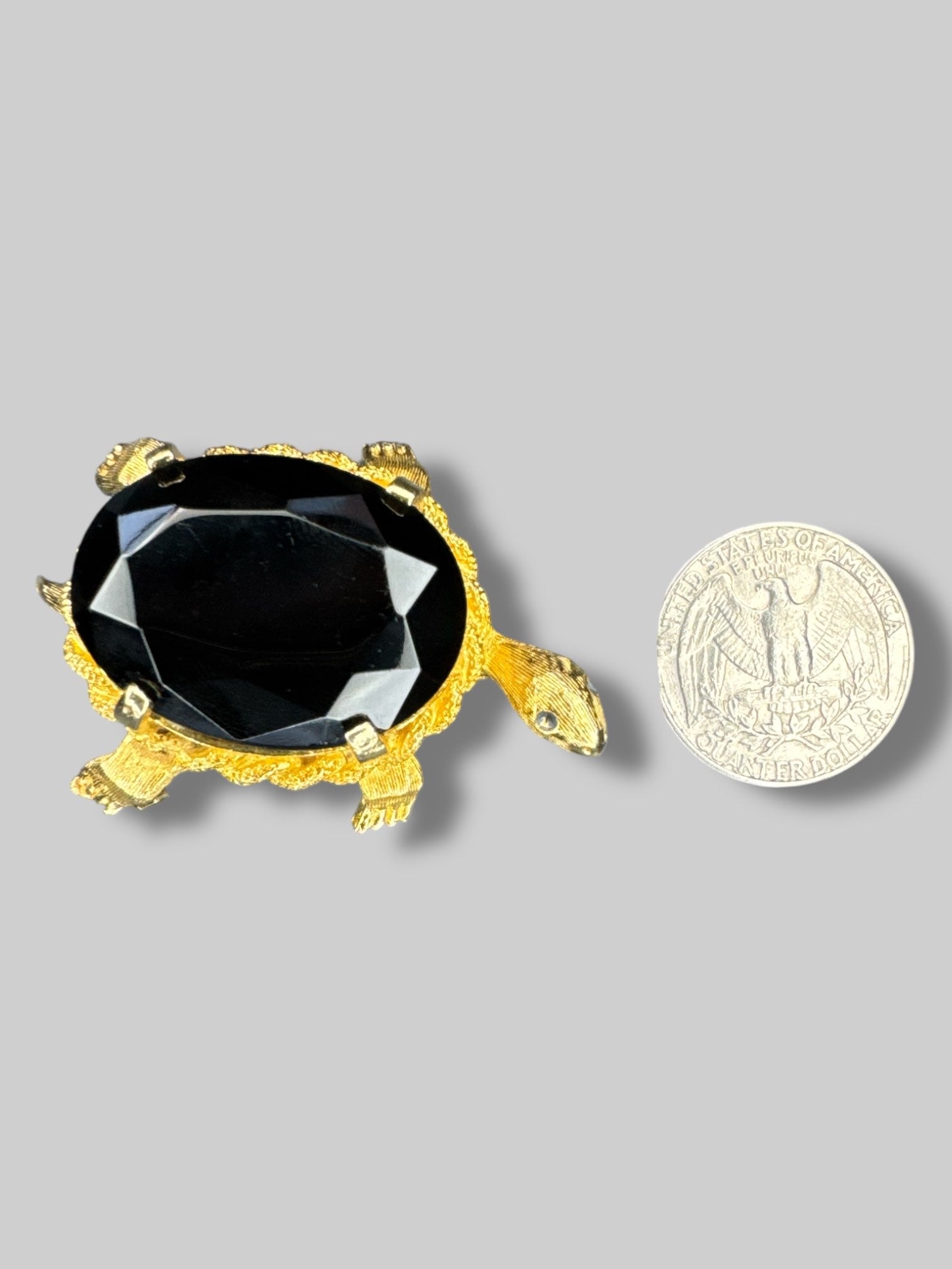 Call tone turtle broke with large lack stone as shell