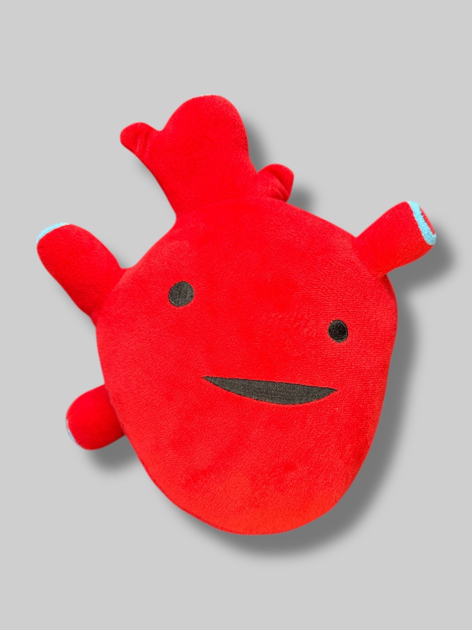 Anatomically correct Heart plush