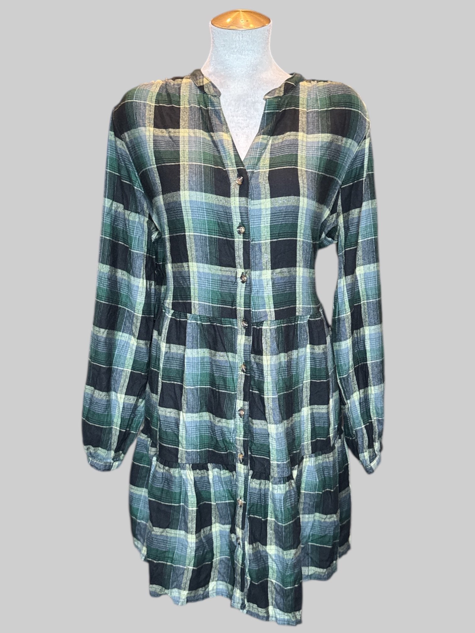 1X Green blue and metallic silver plaid button up dress