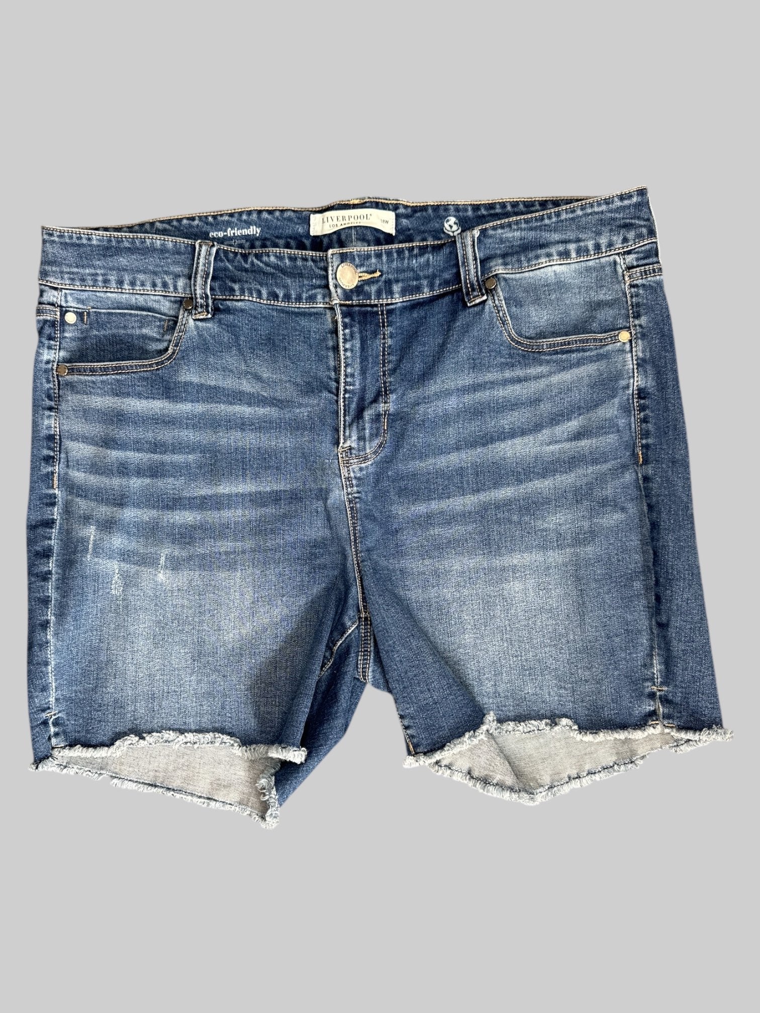 XL Cutoff denim shorts