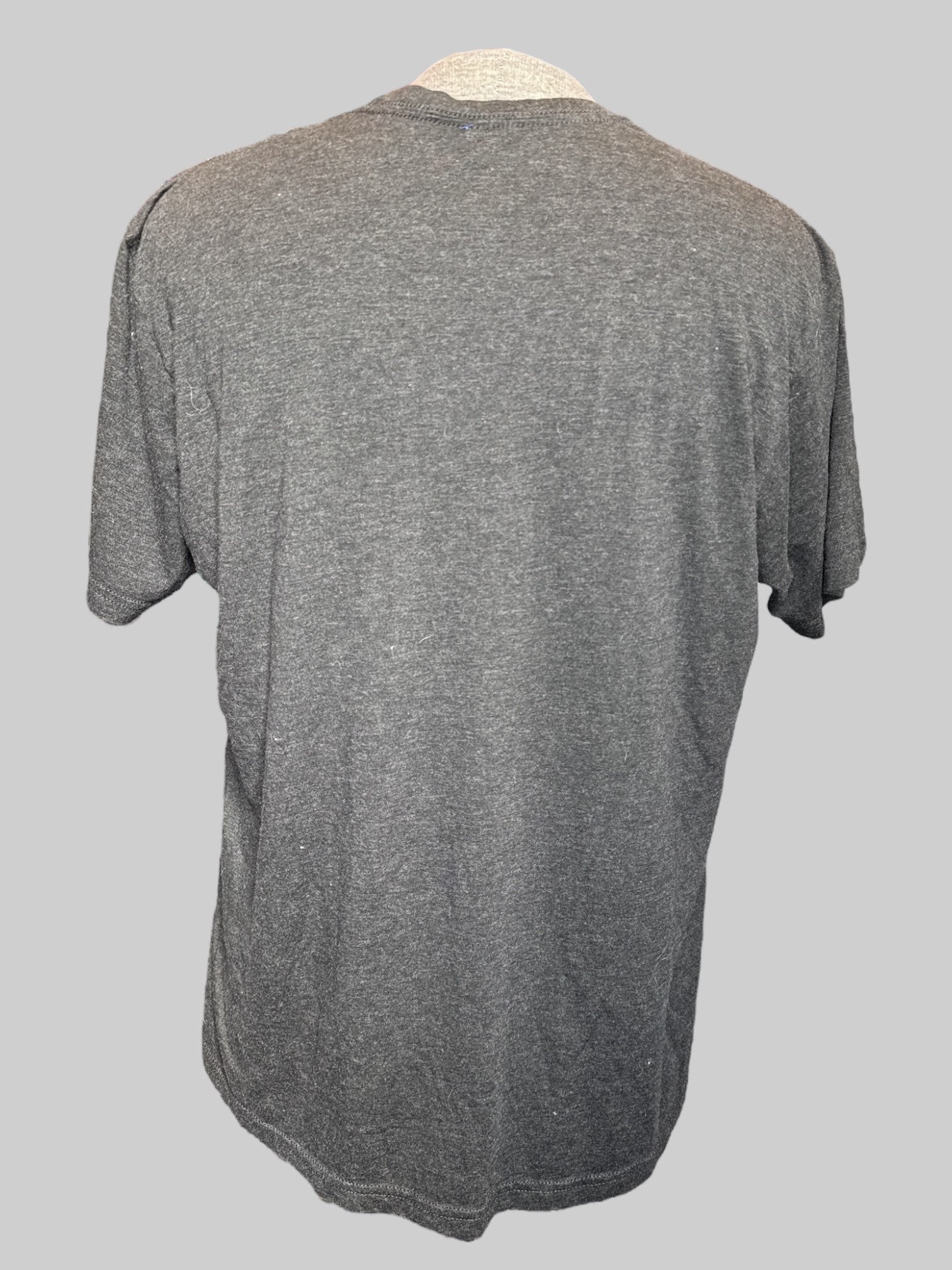 2X Heathered dark gray The Raven Edgar Allen Poe t shirt with raven graphic
