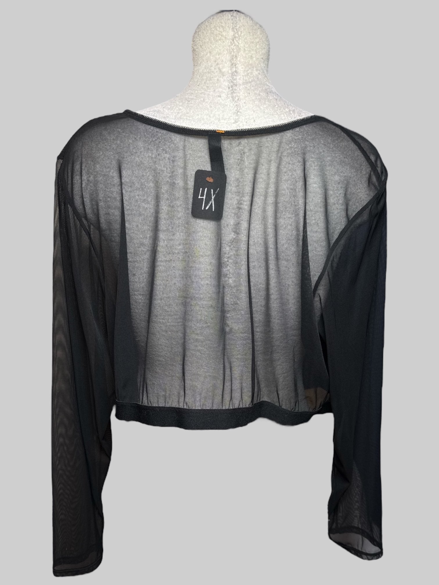 4X sheer long sleeve top with floral embroidery