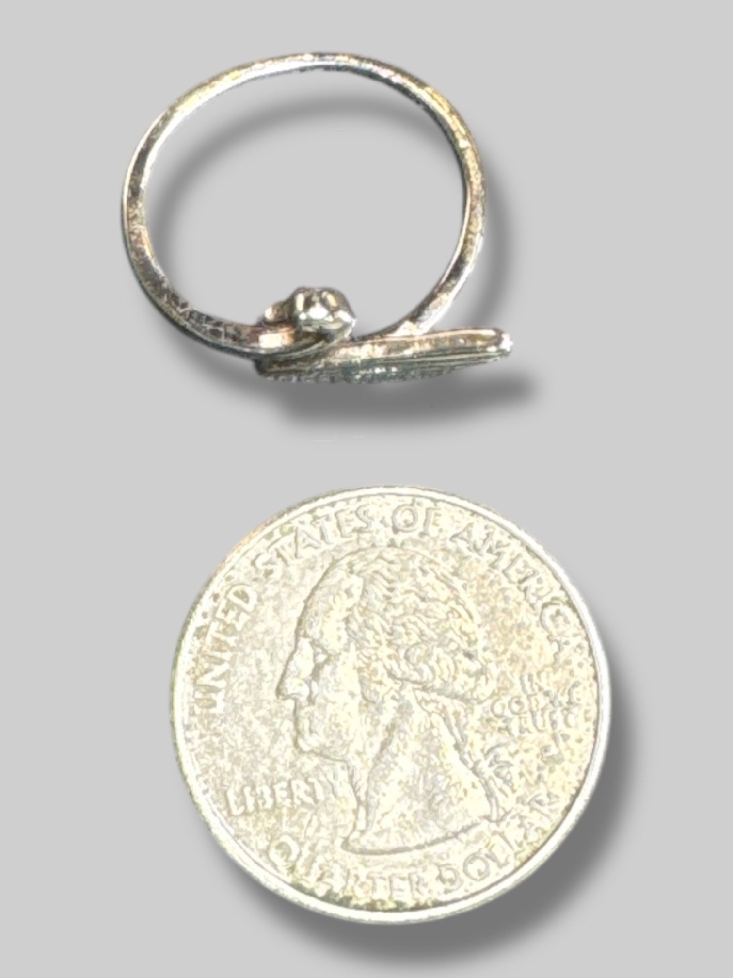 Adjustable silver tone swan rin