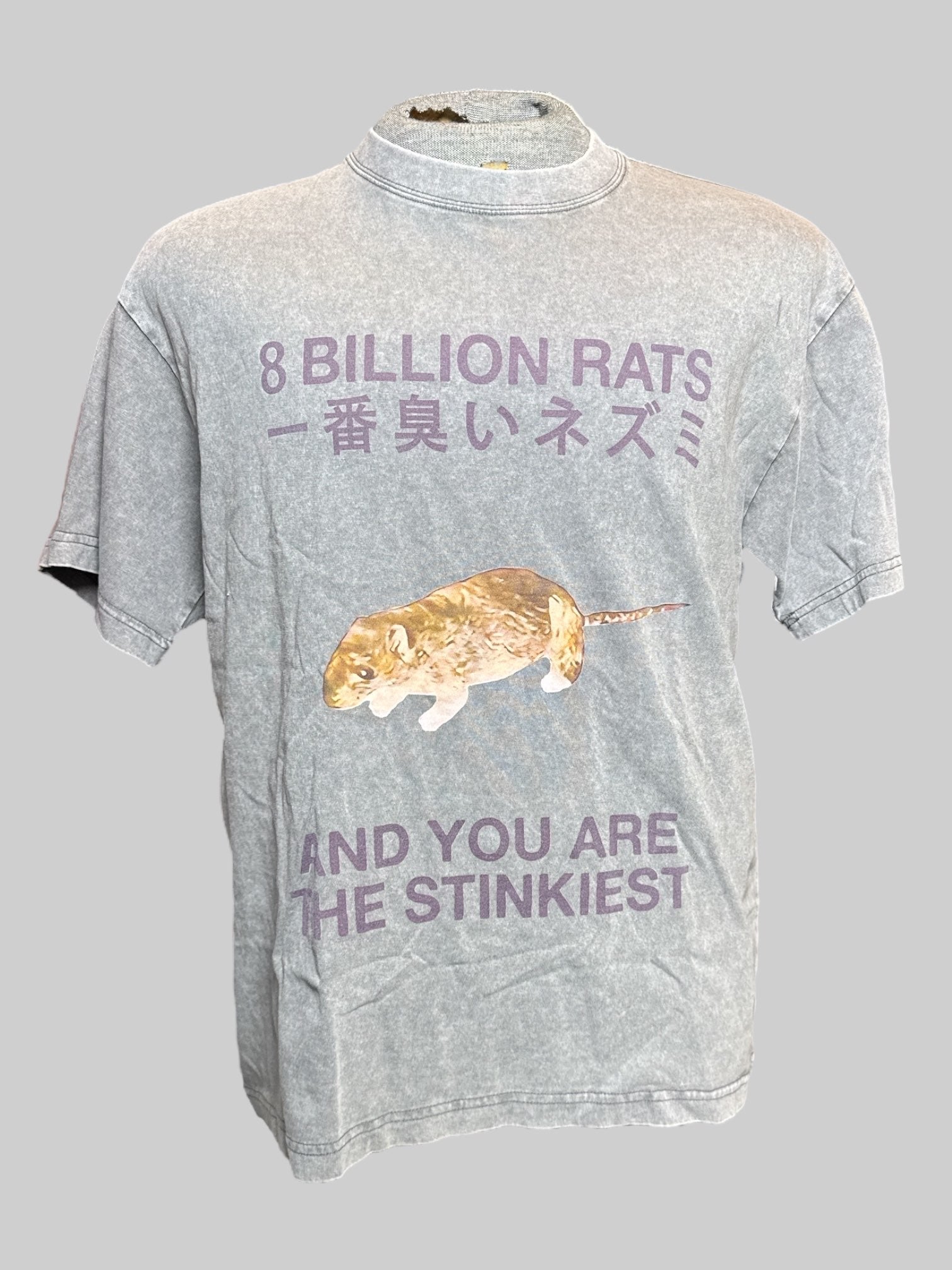 L gray “8 billion rats and you are the stinkiest” graphic tee