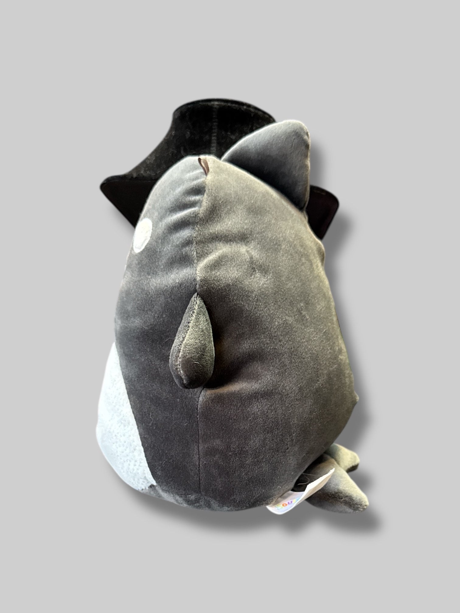 7.5 inch Kai the Orca Squishmallow