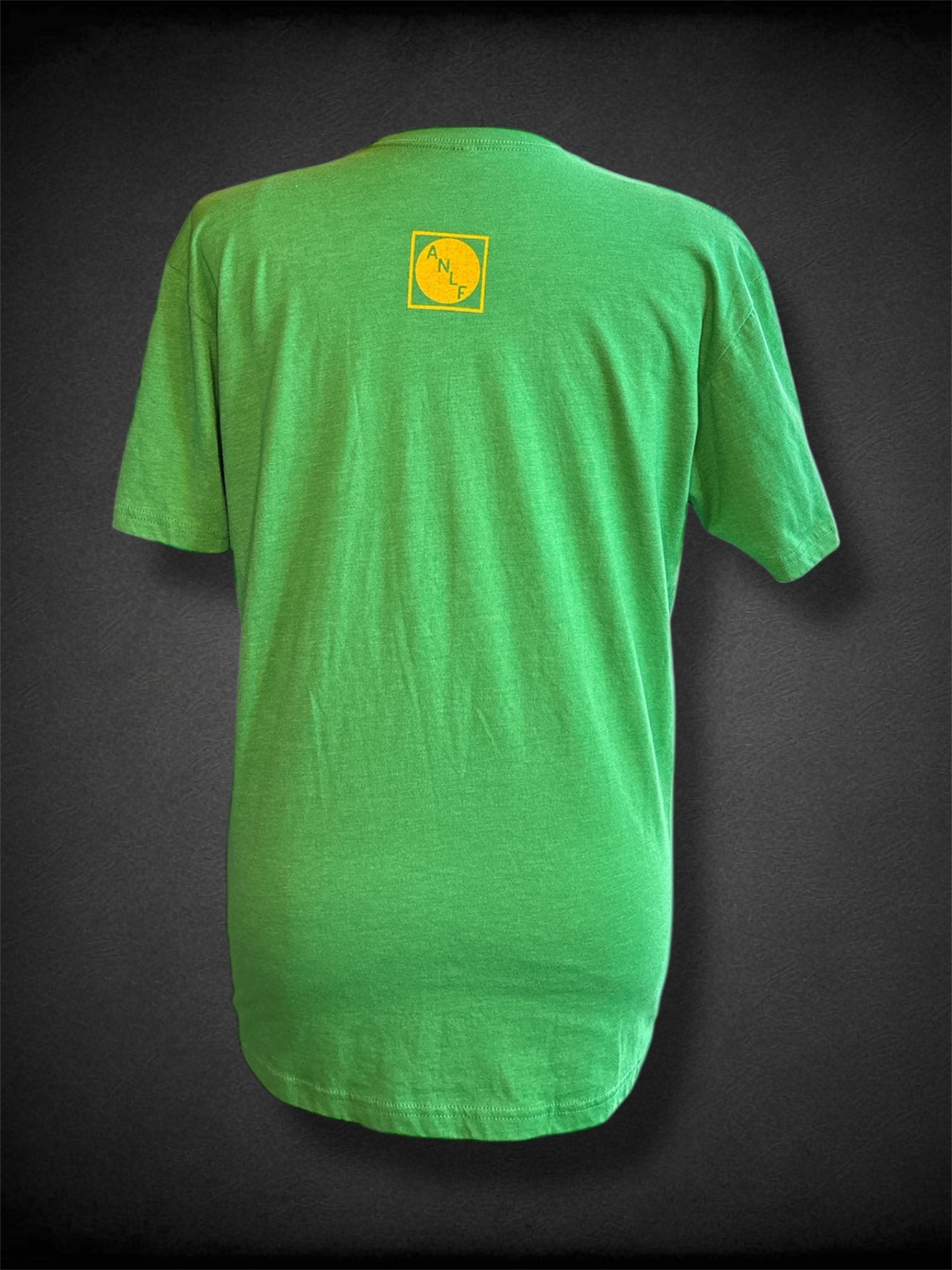 0X RAYGUN green and yellow America Needs Lesbian Farmers t shirt