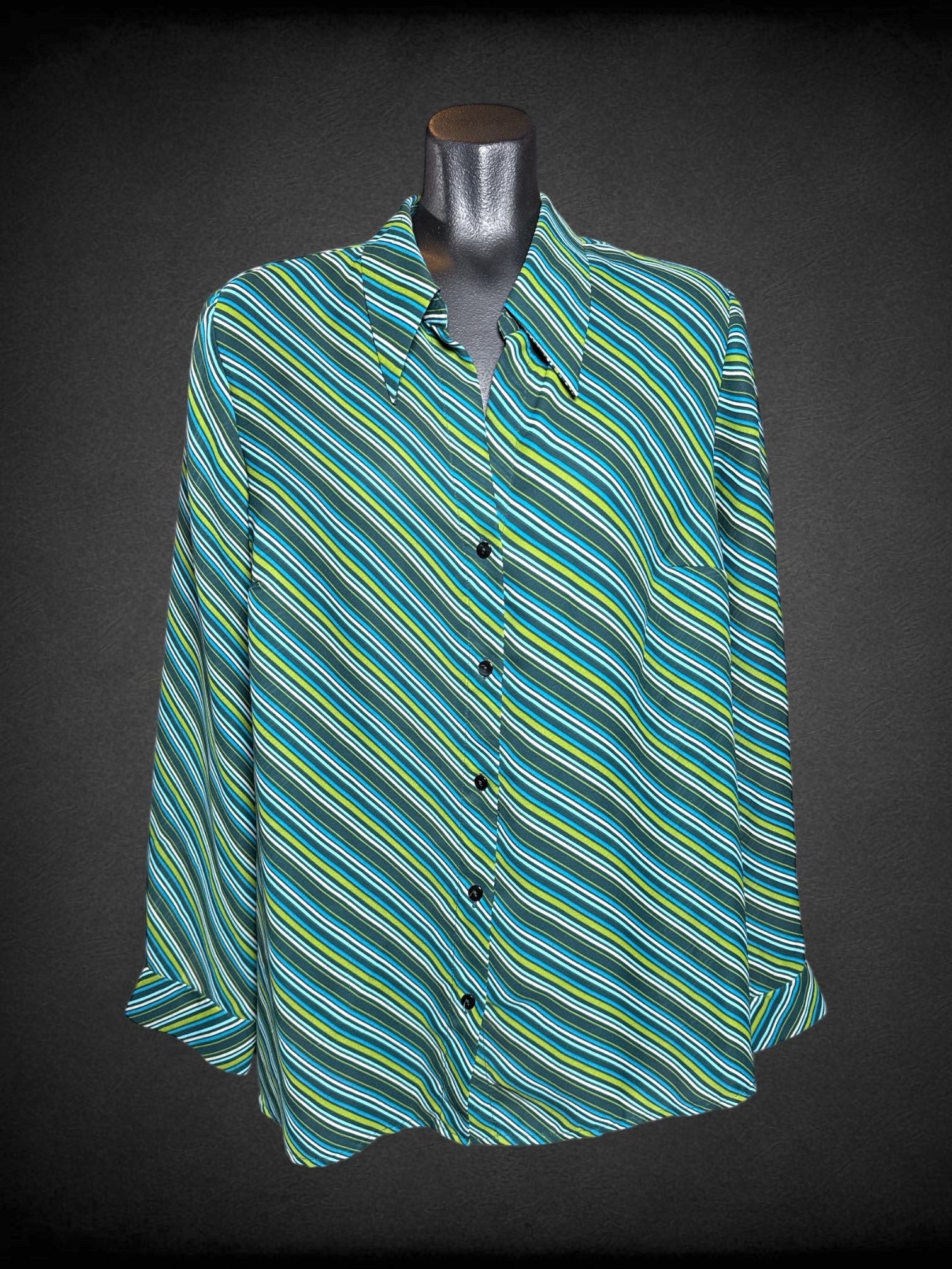 XL Venezia Jeans multicolor striped long sleeve button up top with pointed collar
