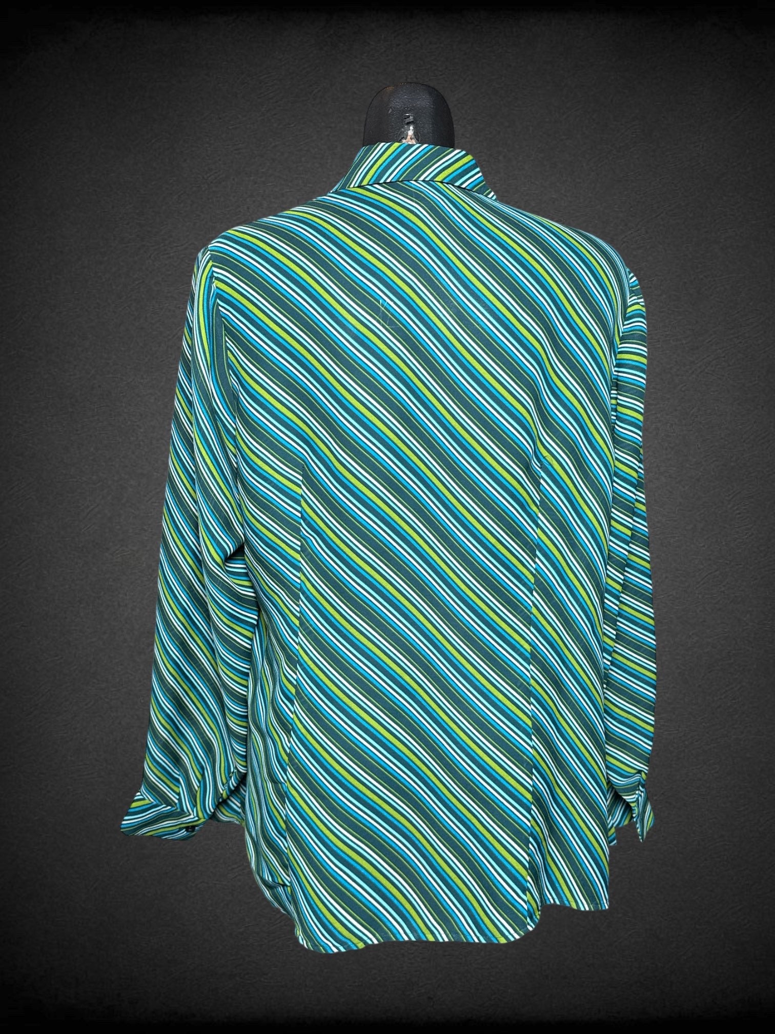 XL Venezia Jeans multicolor striped long sleeve button up top with pointed collar
