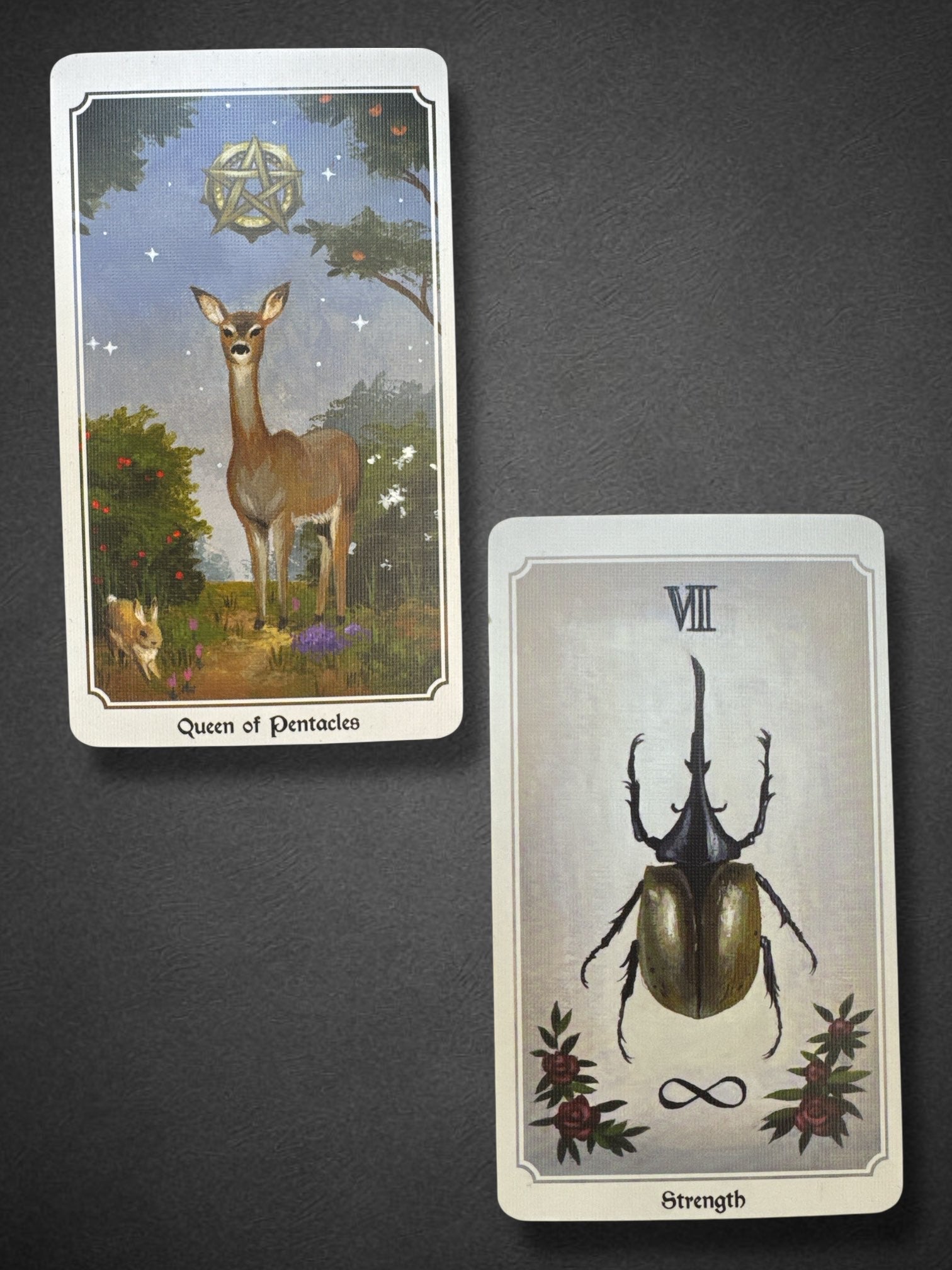 3.5” by 5” pre-loved Anima Mundi Tarot deck by Megan Wyreweden