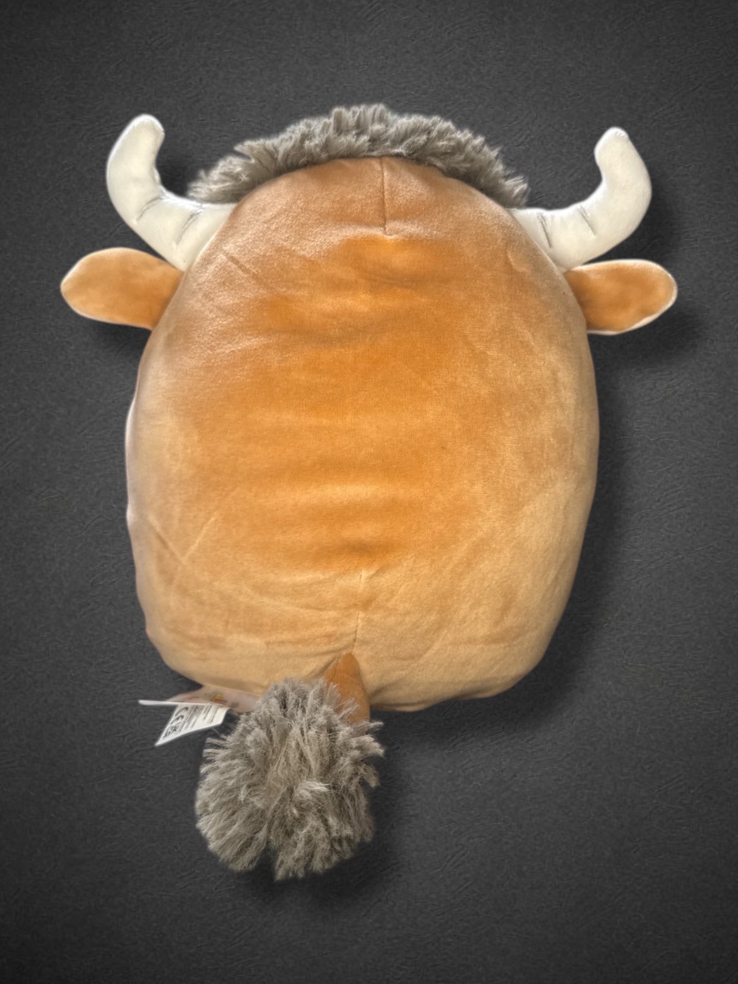 8” by 8” Shep the Highland Bull Squishmallow