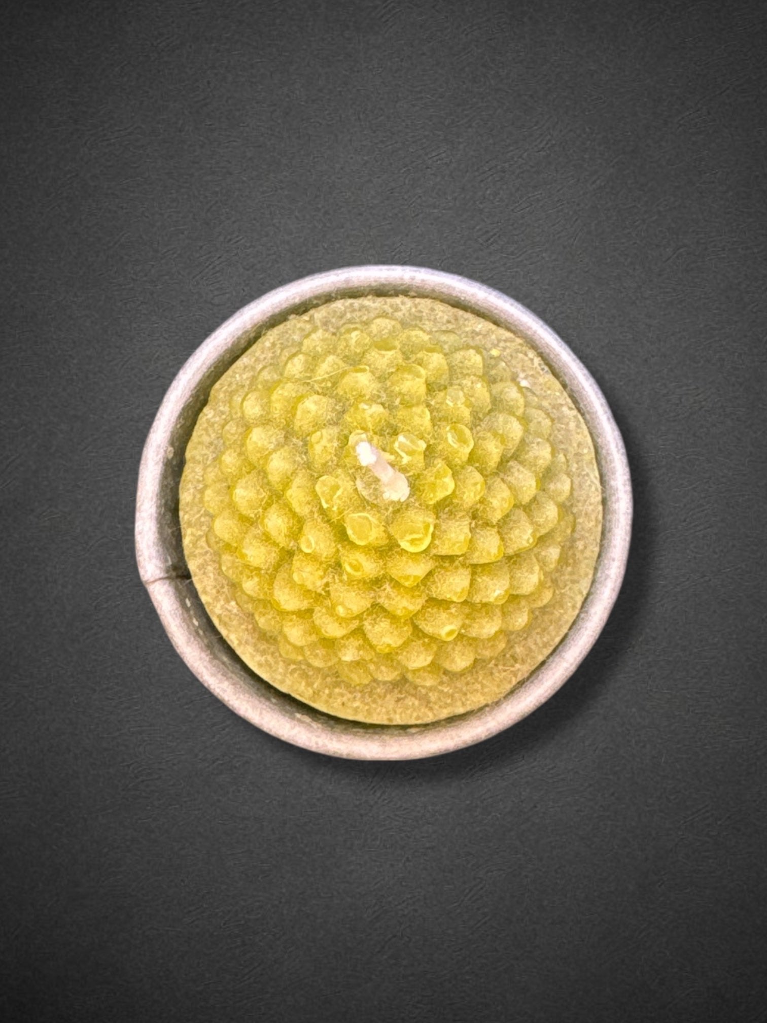 2.5” candle succulents