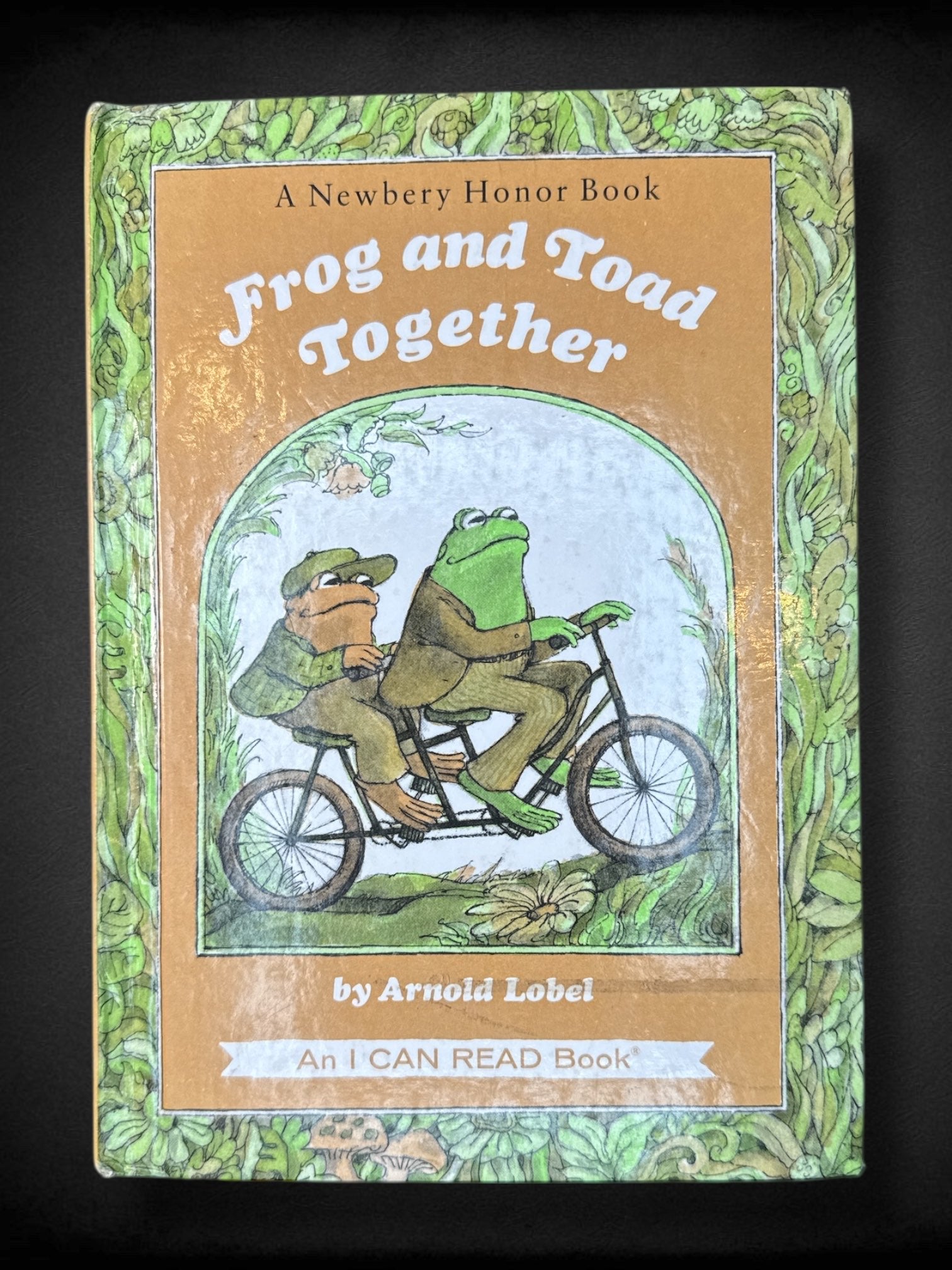 Set of two vintage Frog & Toad books