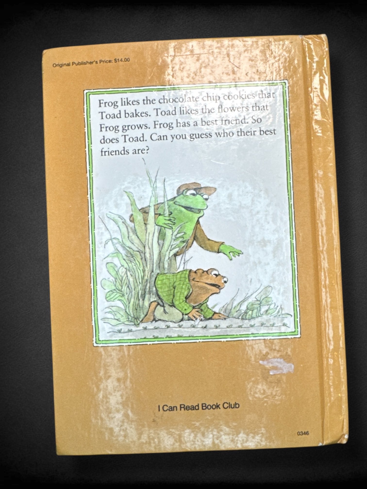 Set of two vintage Frog & Toad books