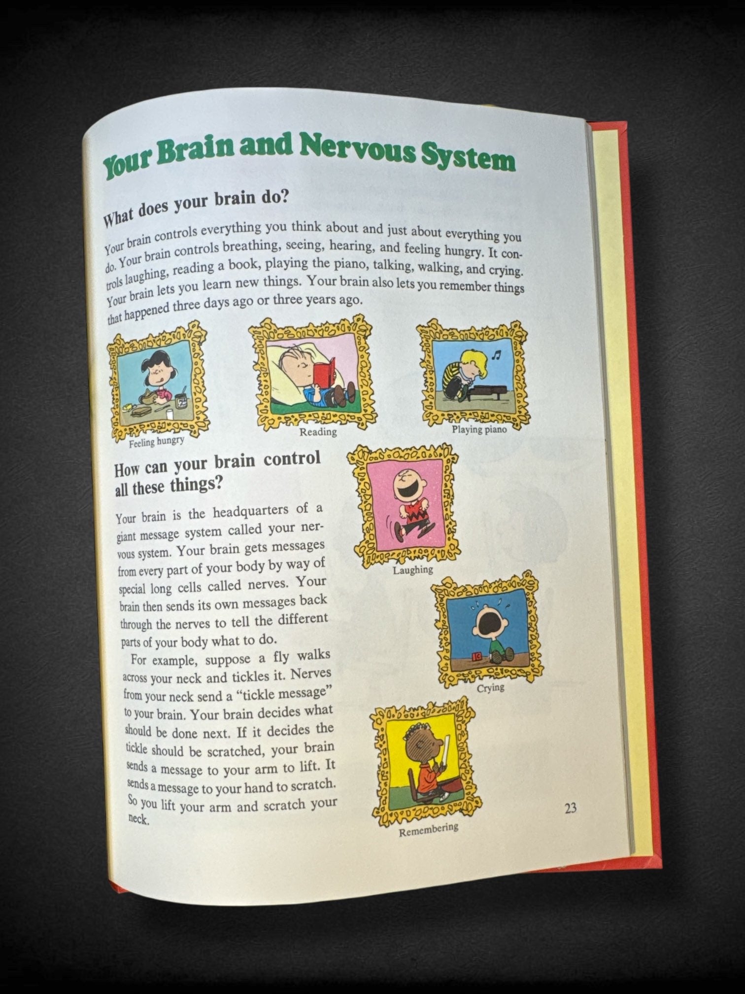 Bundle of 2 Peanuts cartoon books. Contains “Charlie Brown’s ‘Cyclopedia: Featuring Your Body” and “Let’s Fly a Kite, Charlie Brown!” Little golden book