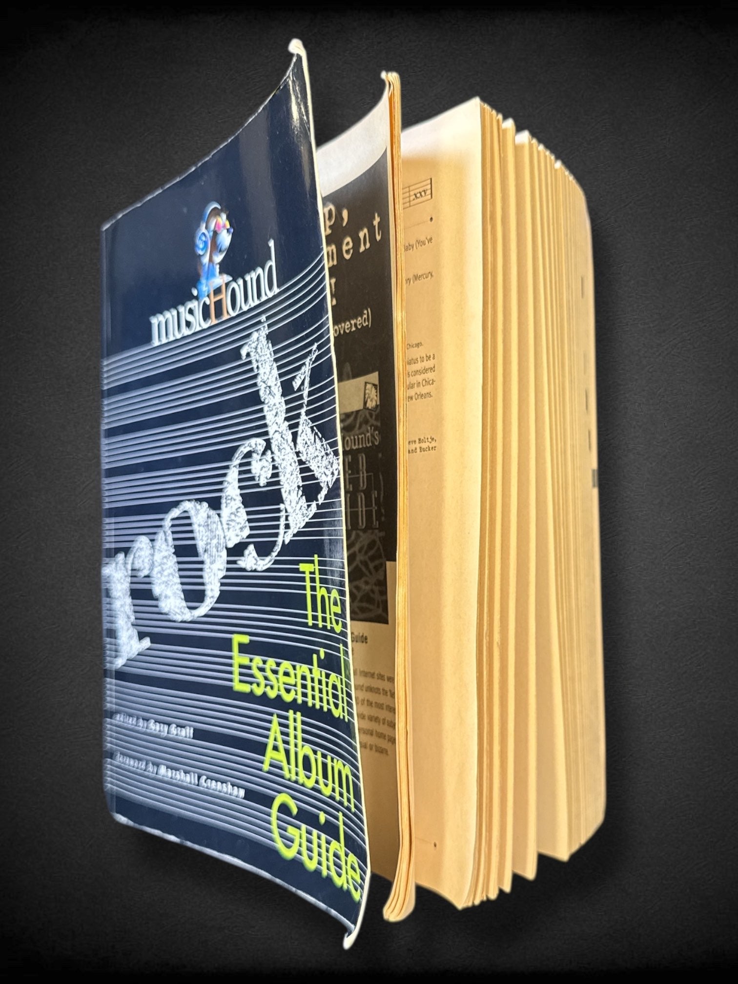 Vintage 1996 Music Hound “Rock: The Essential Album Guide”