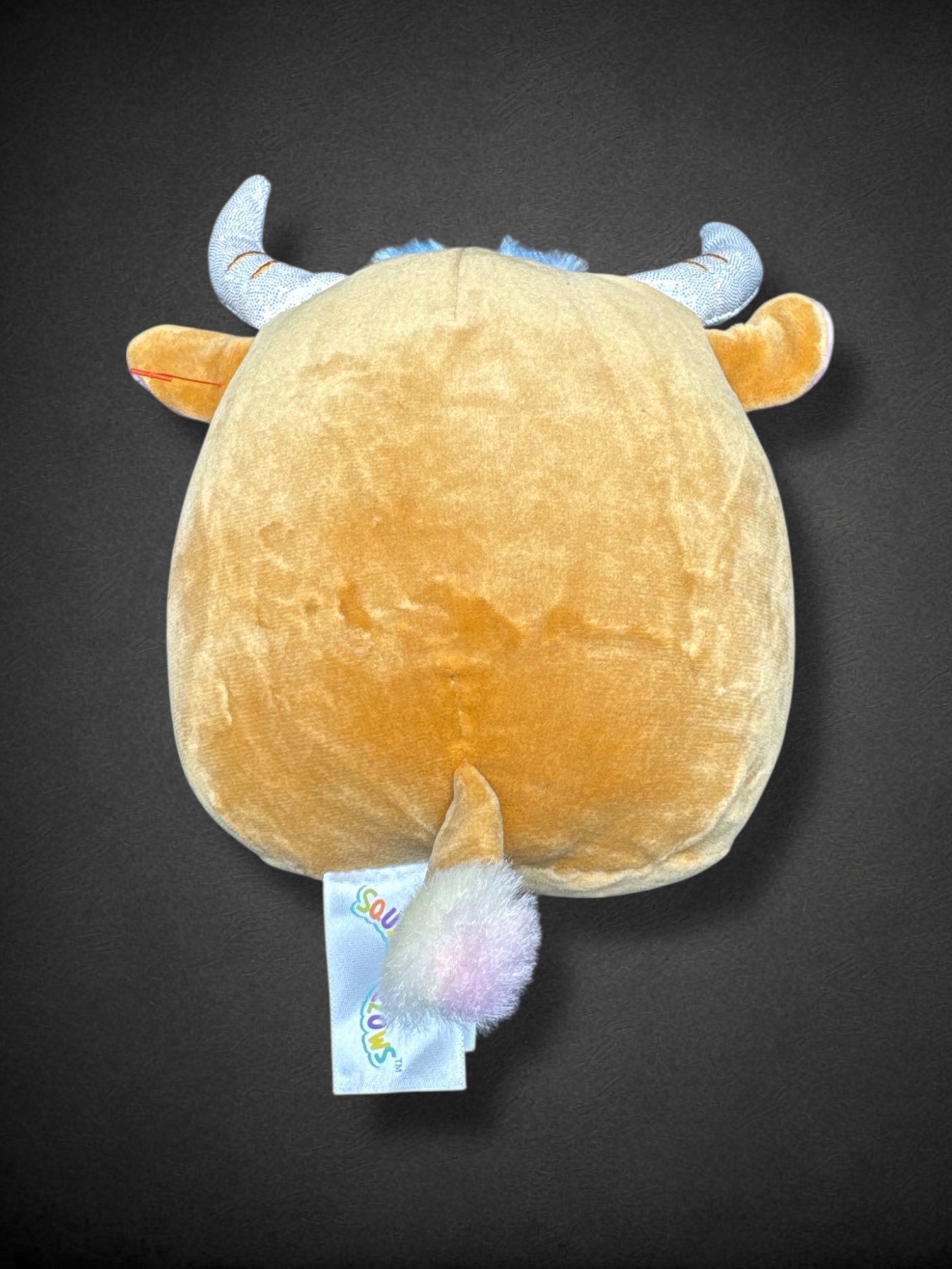 Candela the Highland Cow 5” Squishmallows