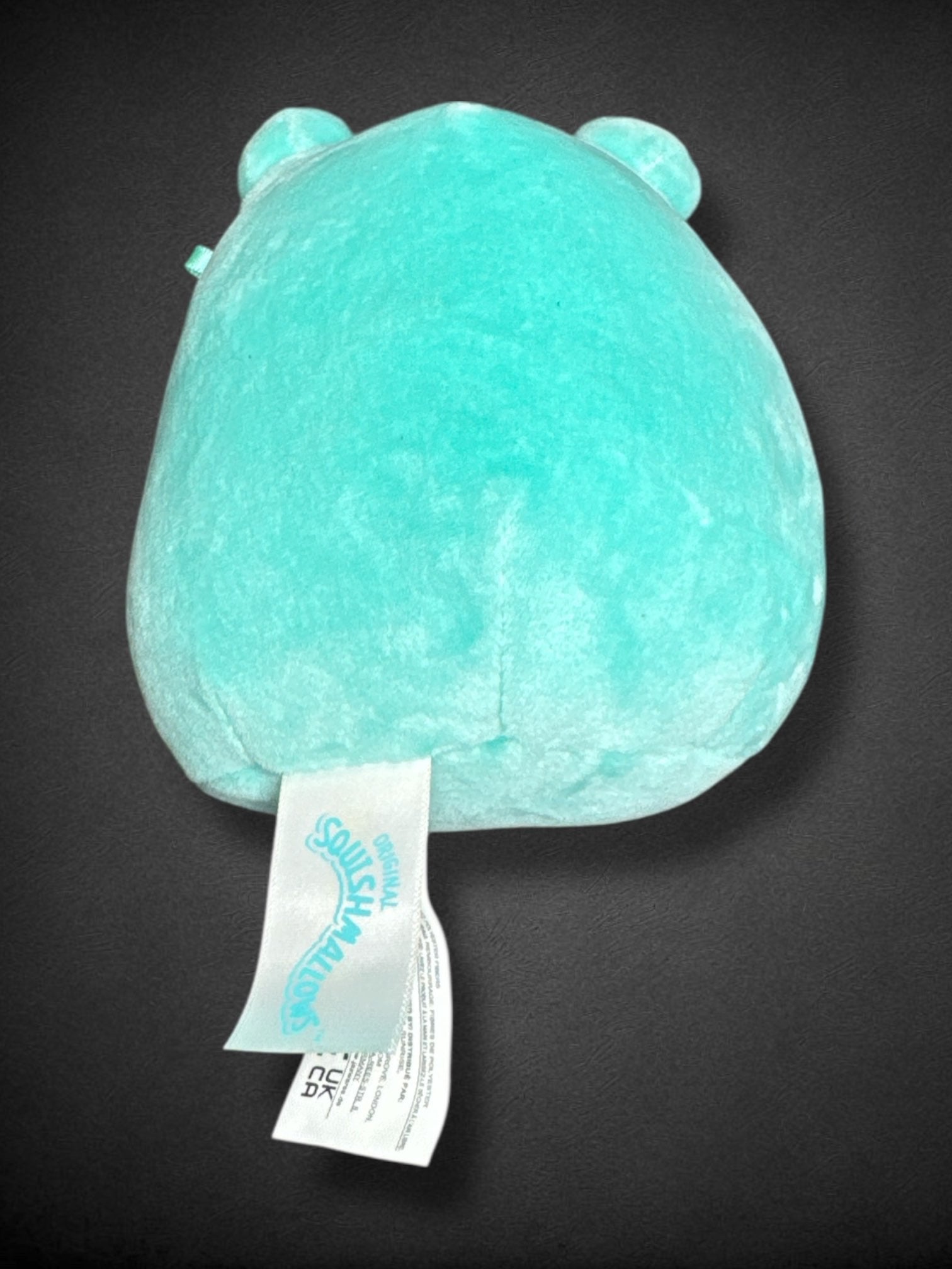 Ludwig the Frog 5” Squishmallow