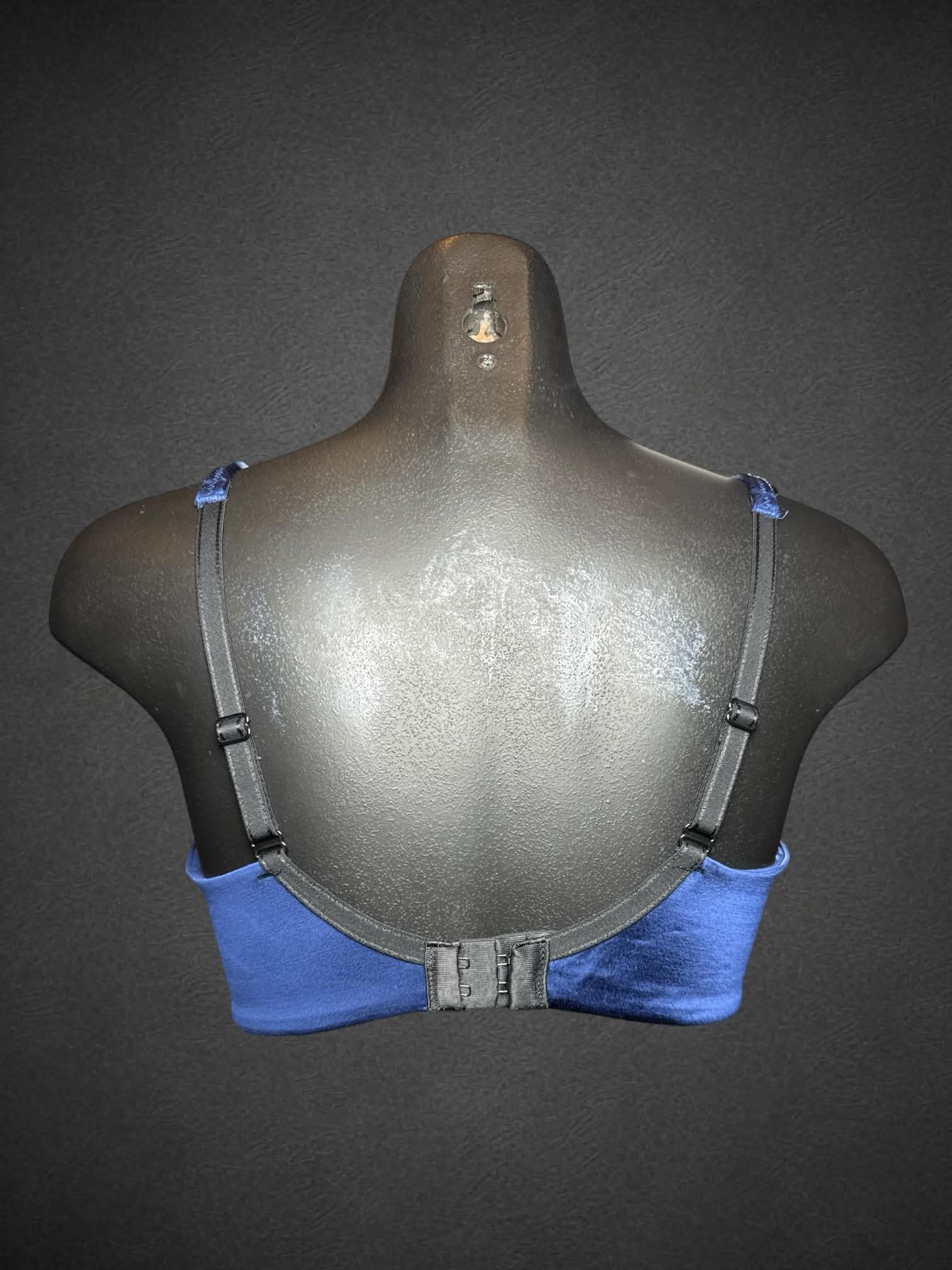 L Soma size 34D blue bra with black lace, embroidery, and sequins