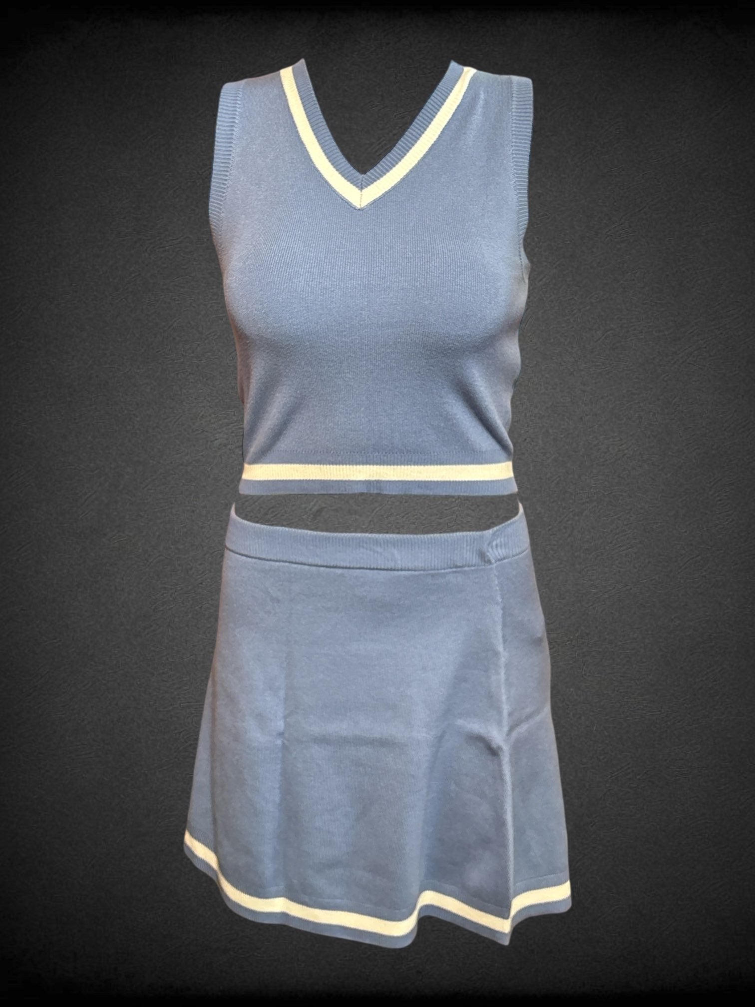 L Sincerely Jules 2 piece blue and white cropped v neck tank + matching mini skirt set