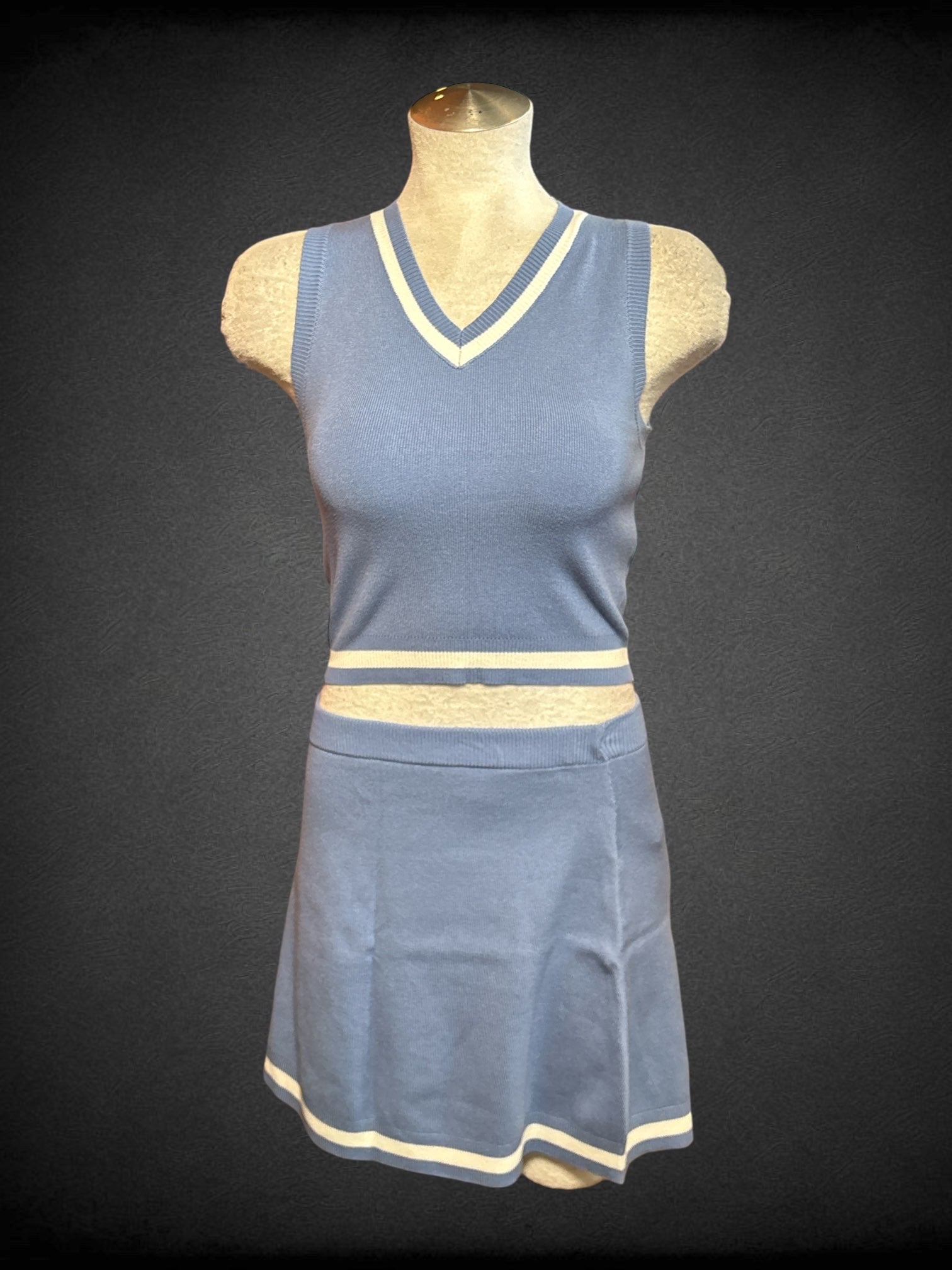 L Sincerely Jules 2 piece blue and white cropped v neck tank + matching mini skirt set