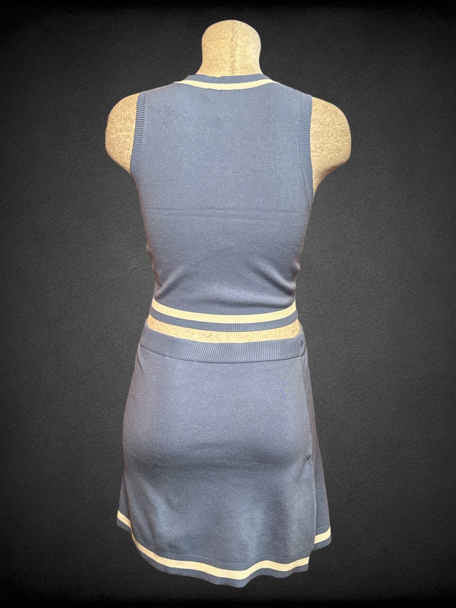 L Sincerely Jules 2 piece blue and white cropped v neck tank + matching mini skirt set