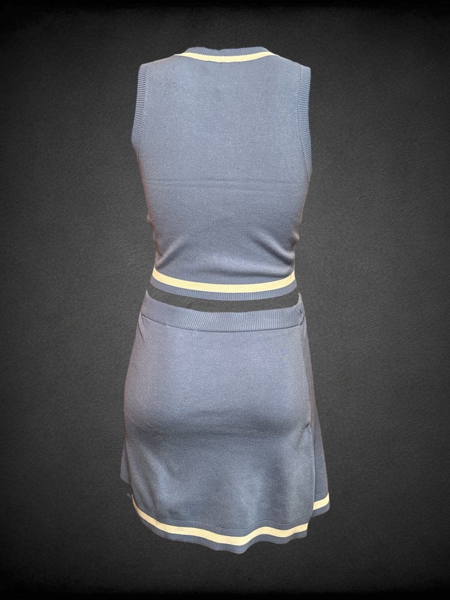 L Sincerely Jules 2 piece blue and white cropped v neck tank + matching mini skirt set