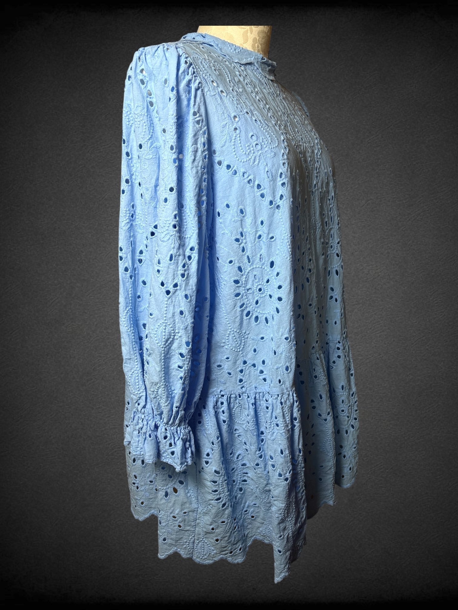 2X YMI Collections O2X ELOQUII light blue dress with floral embroidery, cutouts, puff sleeves with elastic wrists, matching slip, and scalloped collar with back button closurerange sparkly fishnet crop top (Copy)