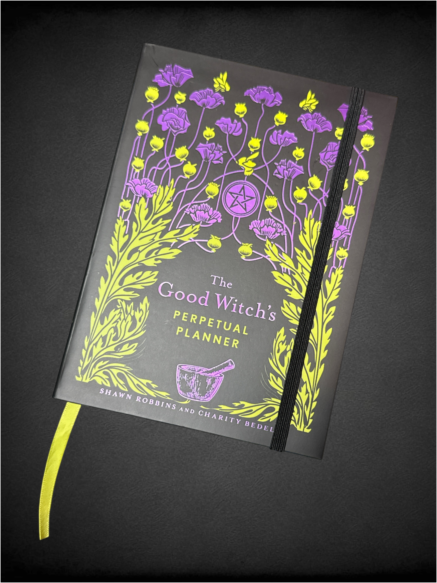 The Good Witch's Perpetual Planner by authors Shawn Robbins and Charity Bedell