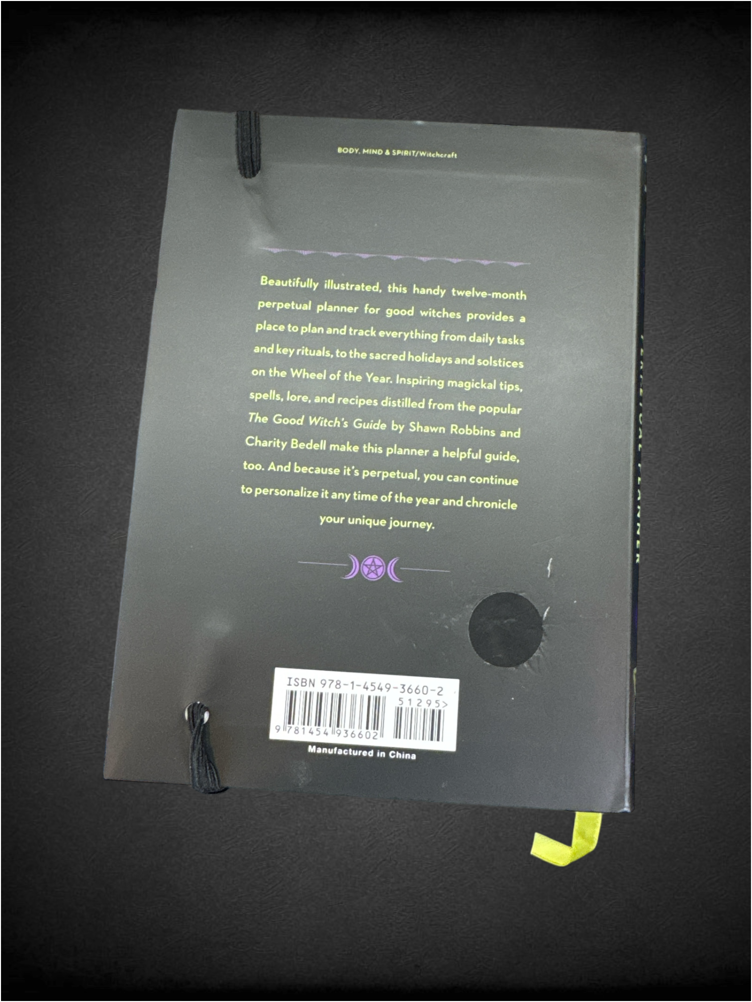 The Good Witch's Perpetual Planner by authors Shawn Robbins and Charity Bedell