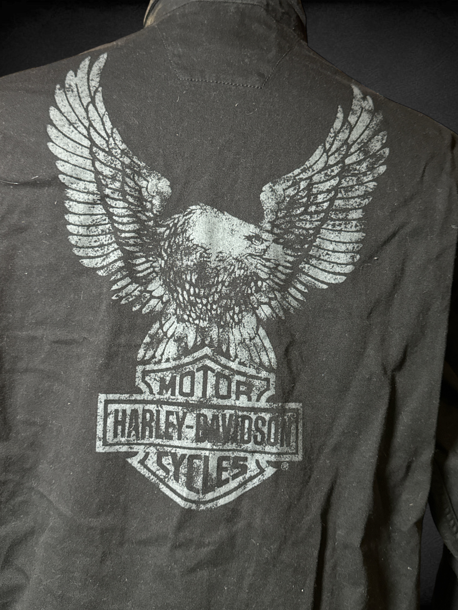 XL Harley Davidson black button down with graphic back
