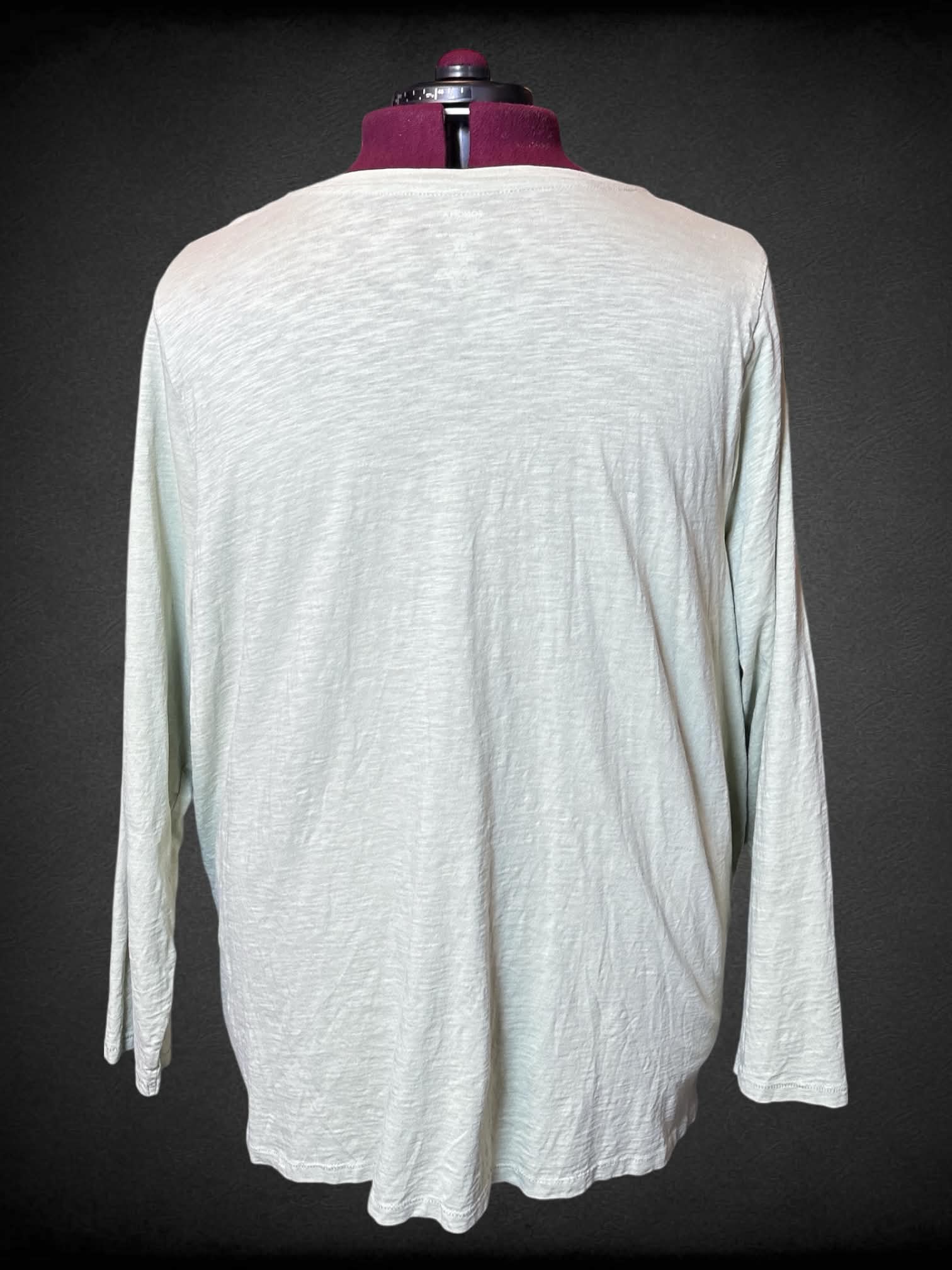 5X Sonoma light green long sleeve top